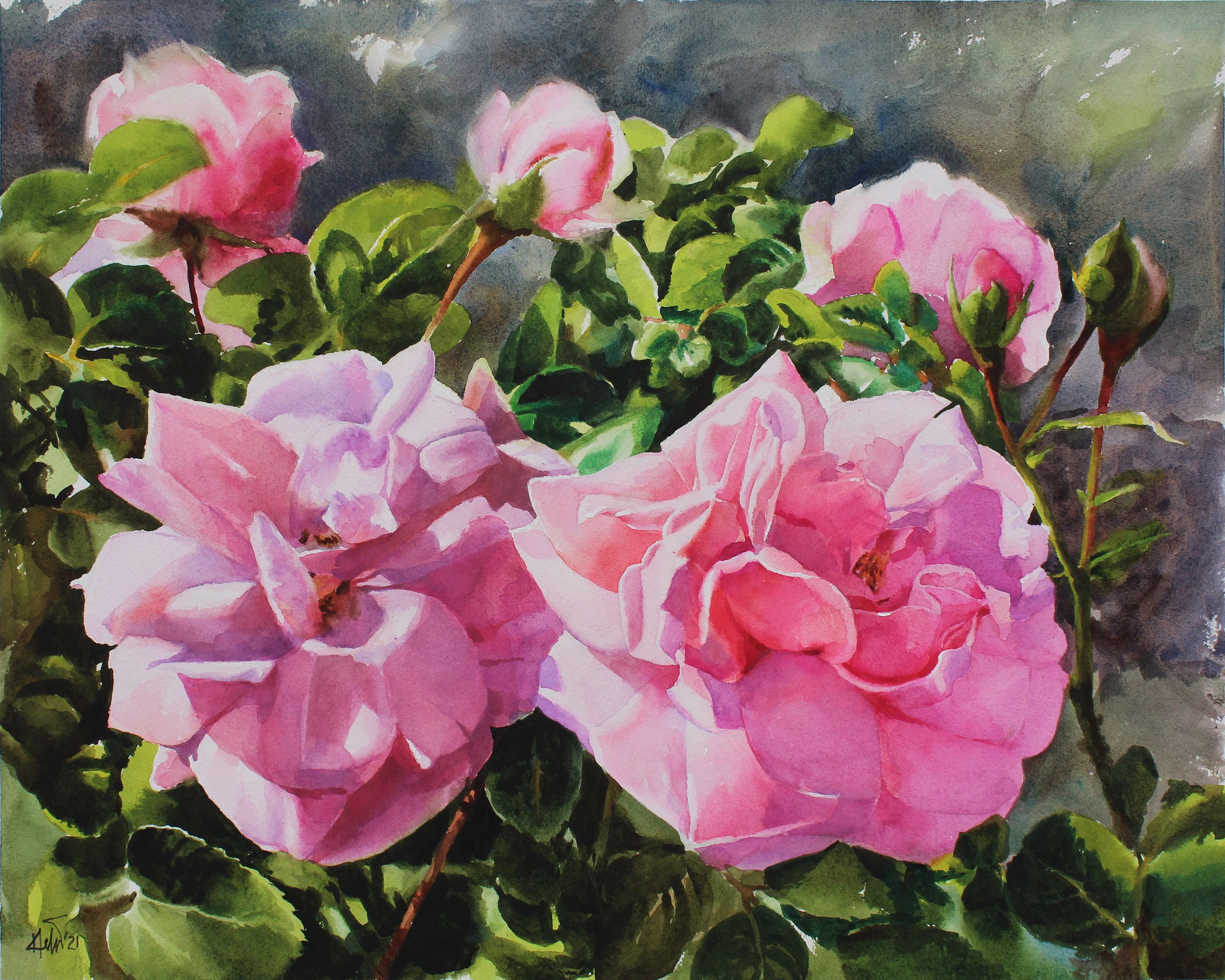 Rose - Helal Uddin