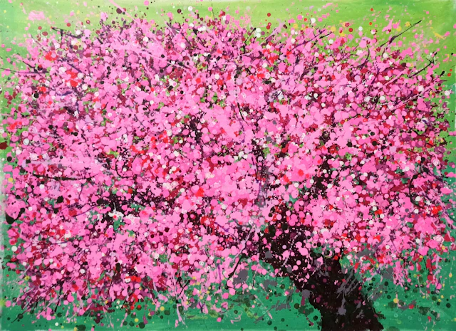 Cherry blossoms bloom - Hoang Phuong