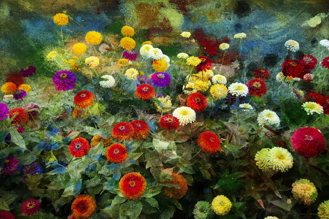 The memories of flowers - Viet Ha Tran