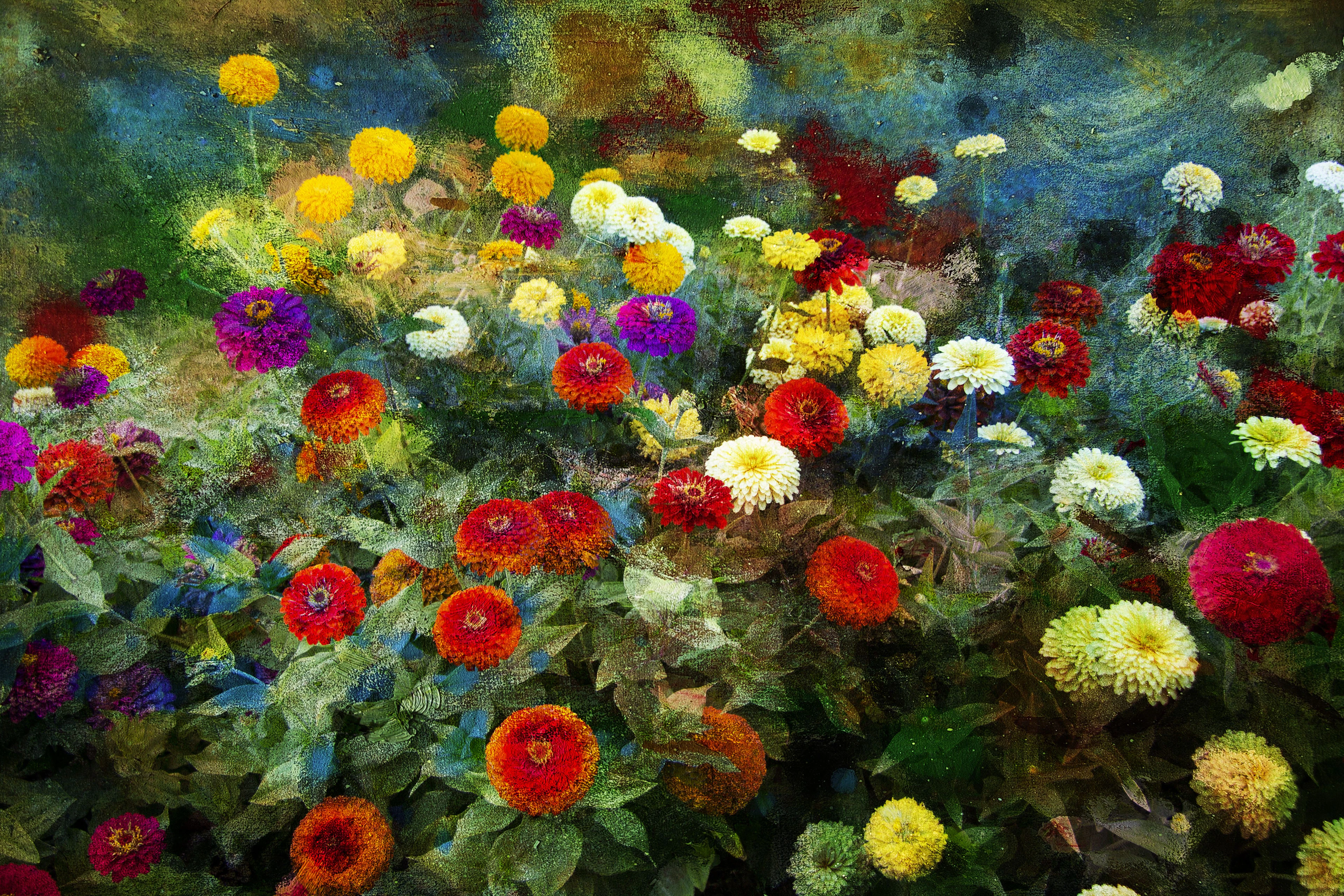 The memories of flowers - Viet Ha Tran