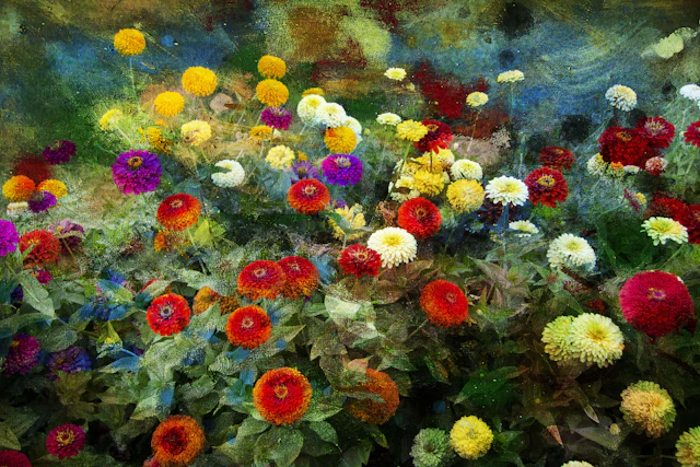 The memories of flowers - Viet Ha Tran