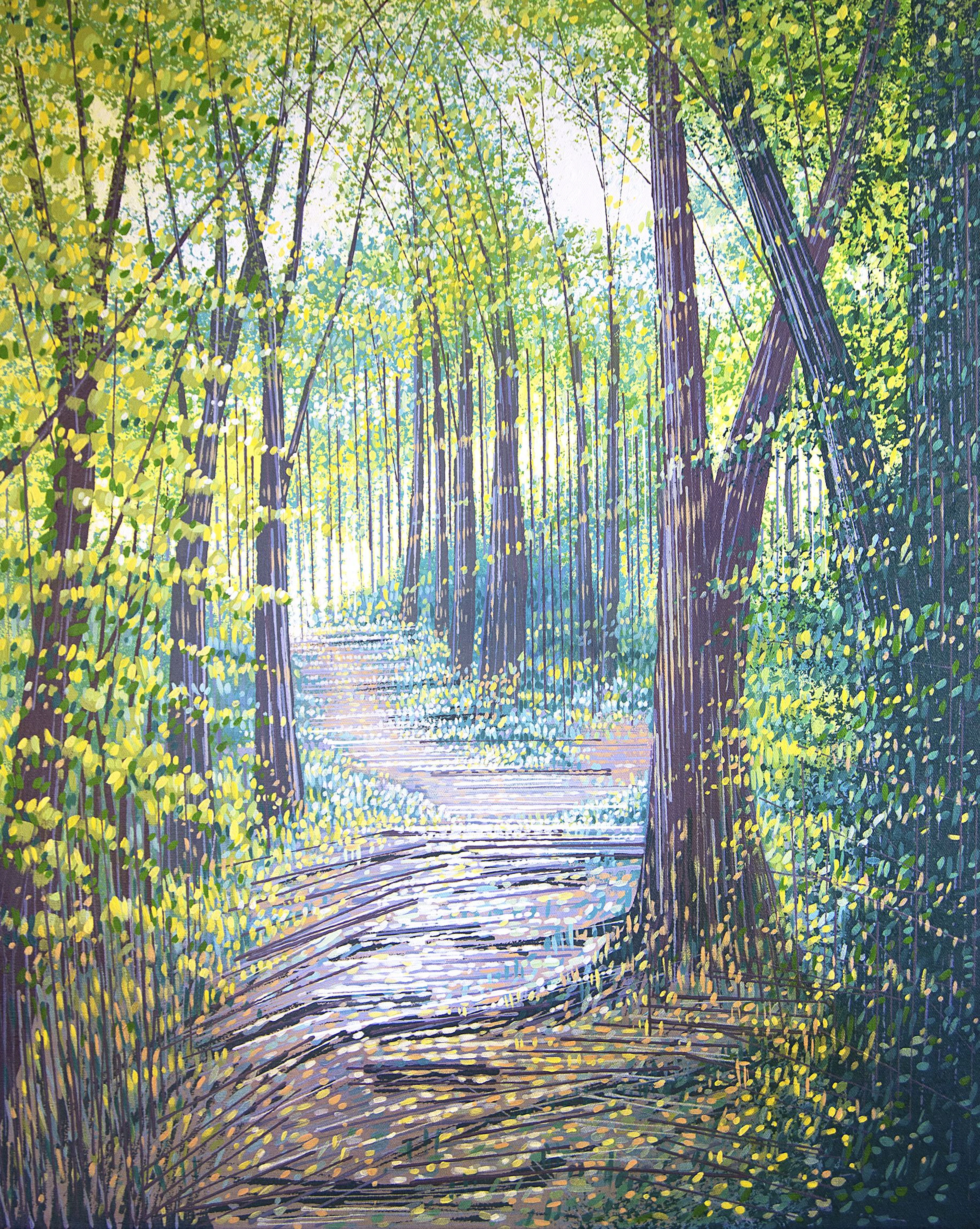 Sunlit Forest Path - Marc Todd