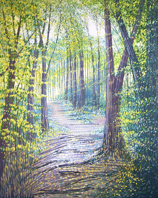 Sunlit Forest Path - Marc Todd
