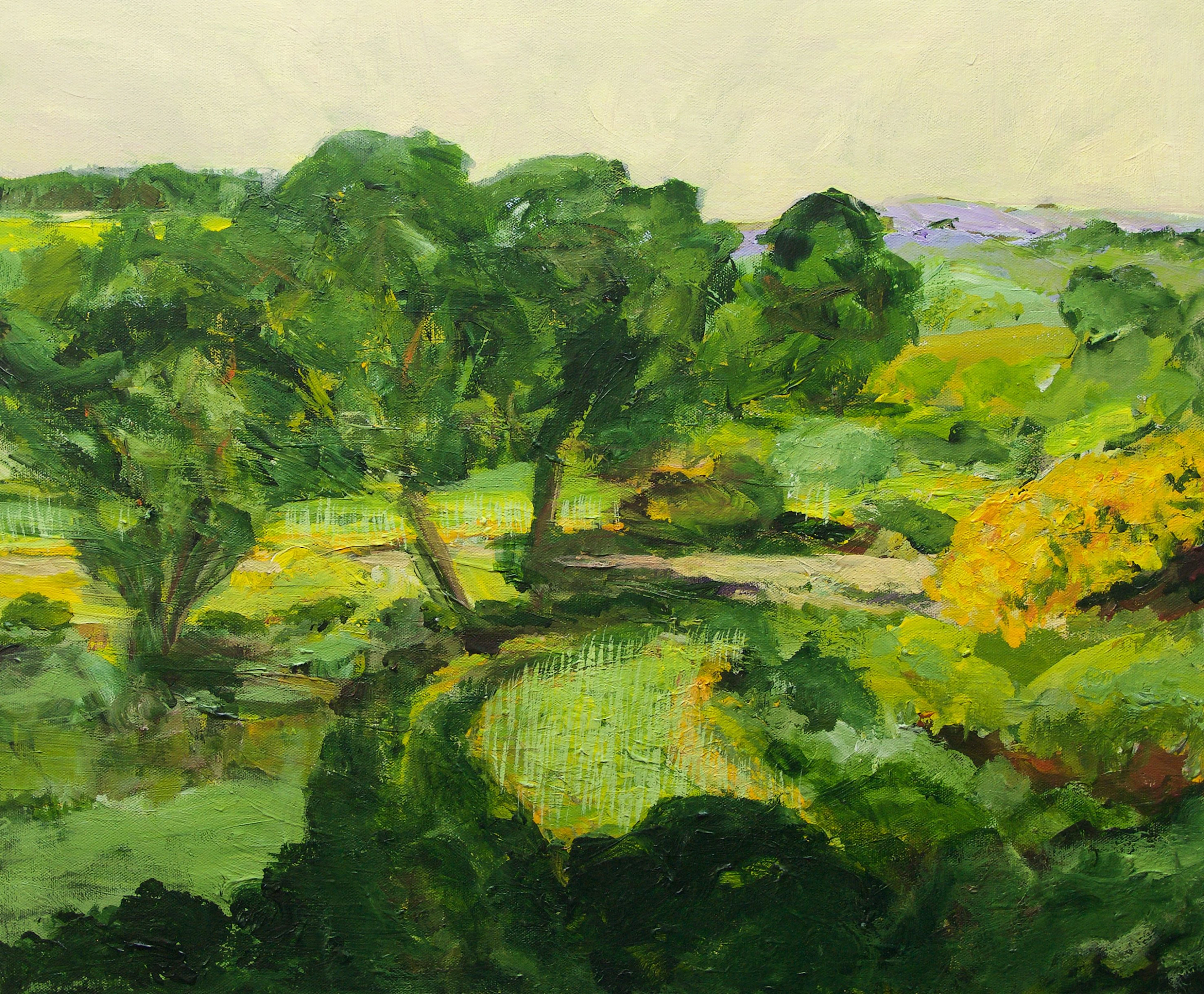 Coton in the Elms - Allan P Friedlander