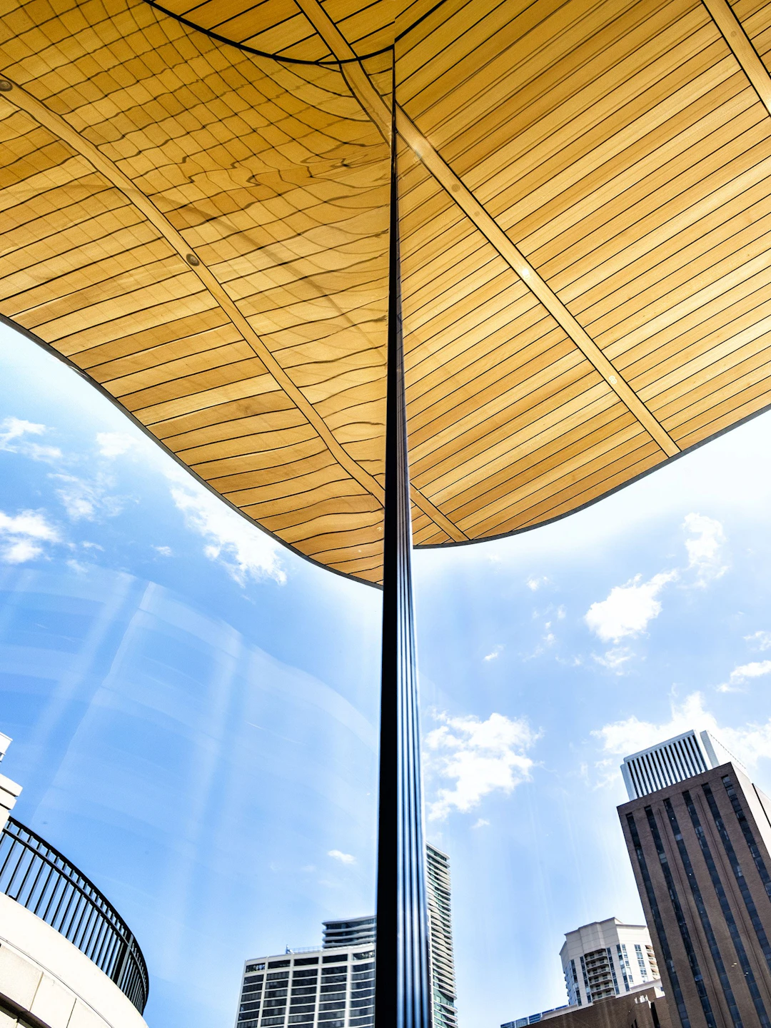 IMAGE FROM THE CORNER Chicago IL - William Dey
