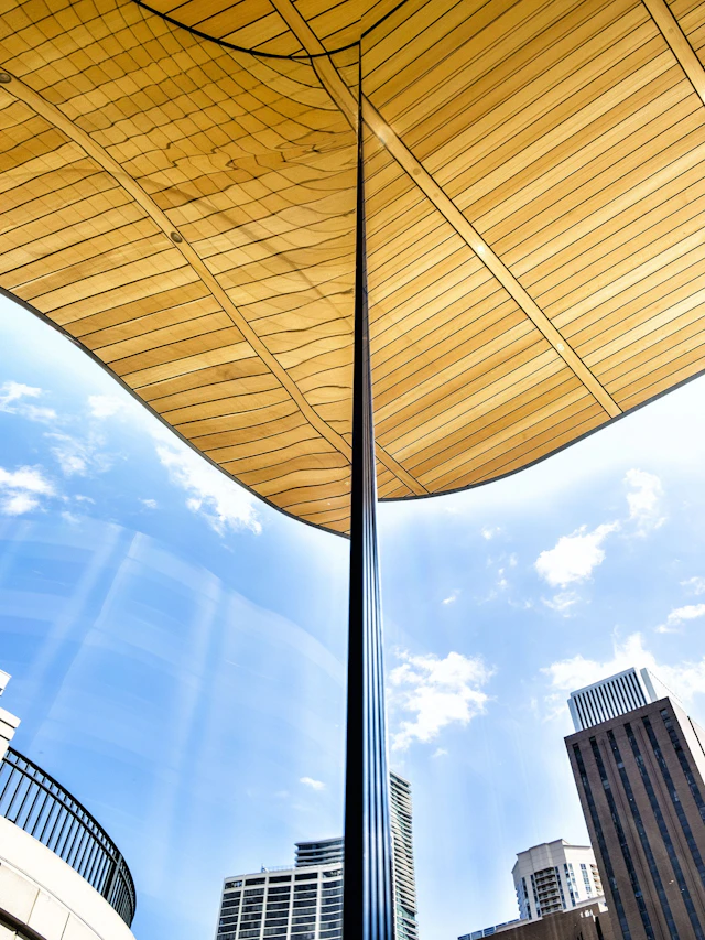 IMAGE FROM THE CORNER Chicago IL - William Dey