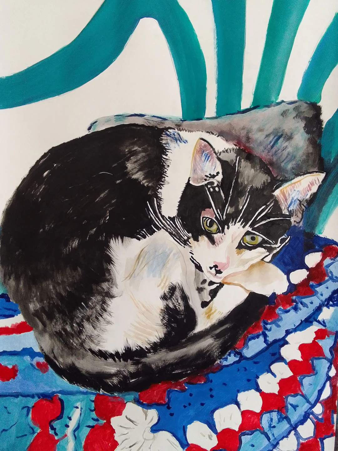 Cat - soso kumsiashvili