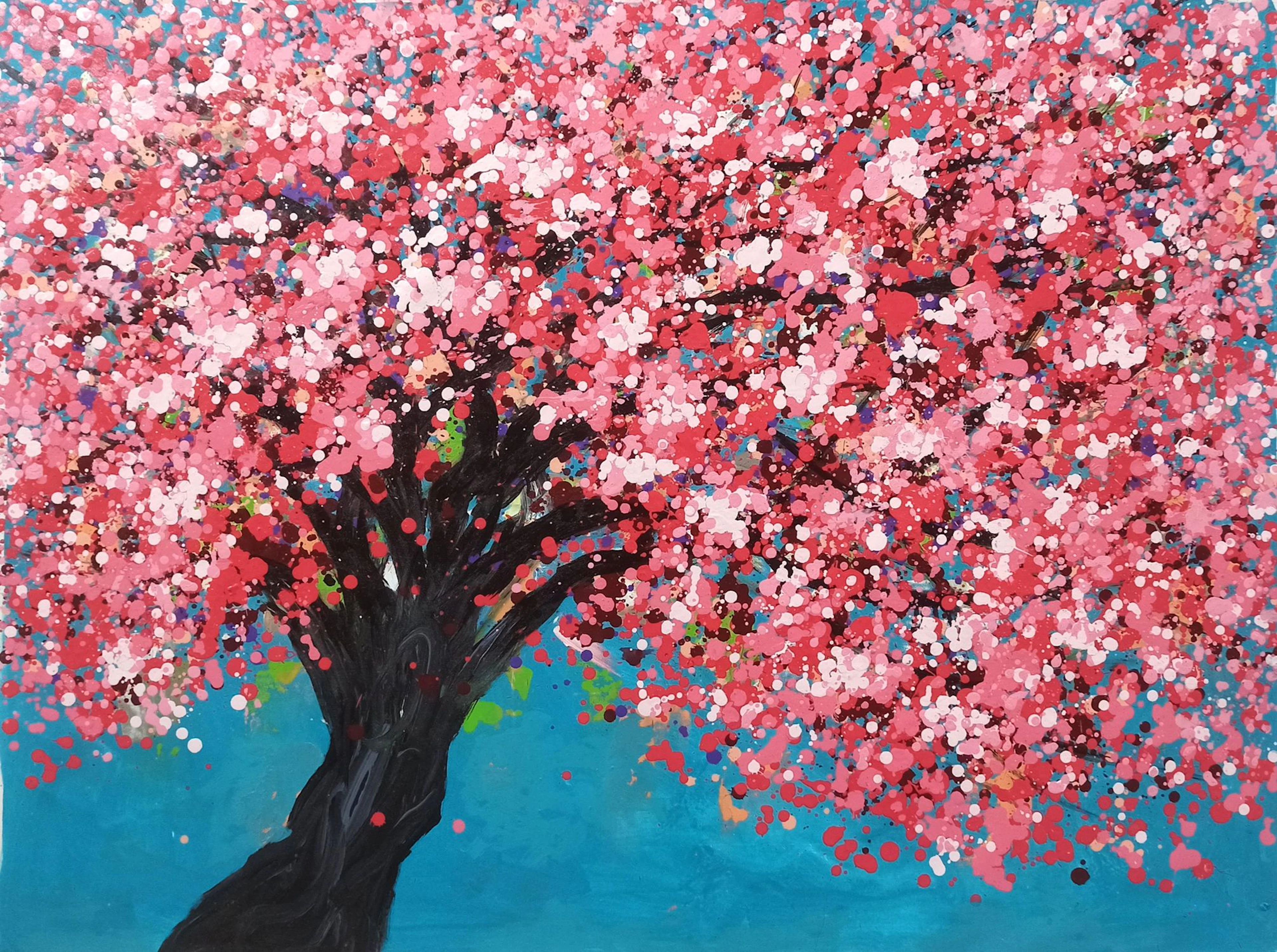 SAKURA - Cherry blossom - Hoang Phuong