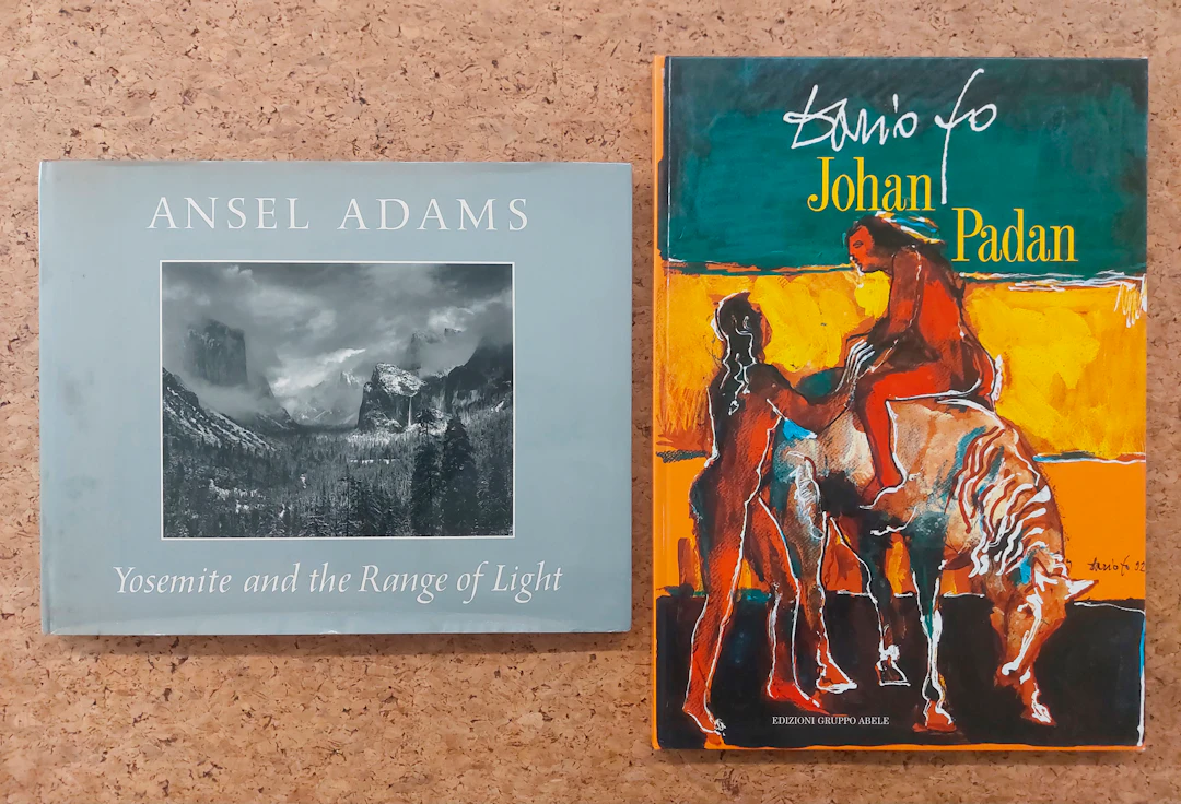 EDIZIONI ILLUSTRATE E DI FOTOGRAFIA (DARIO FO E ANSEL ADAMS) - Lotto