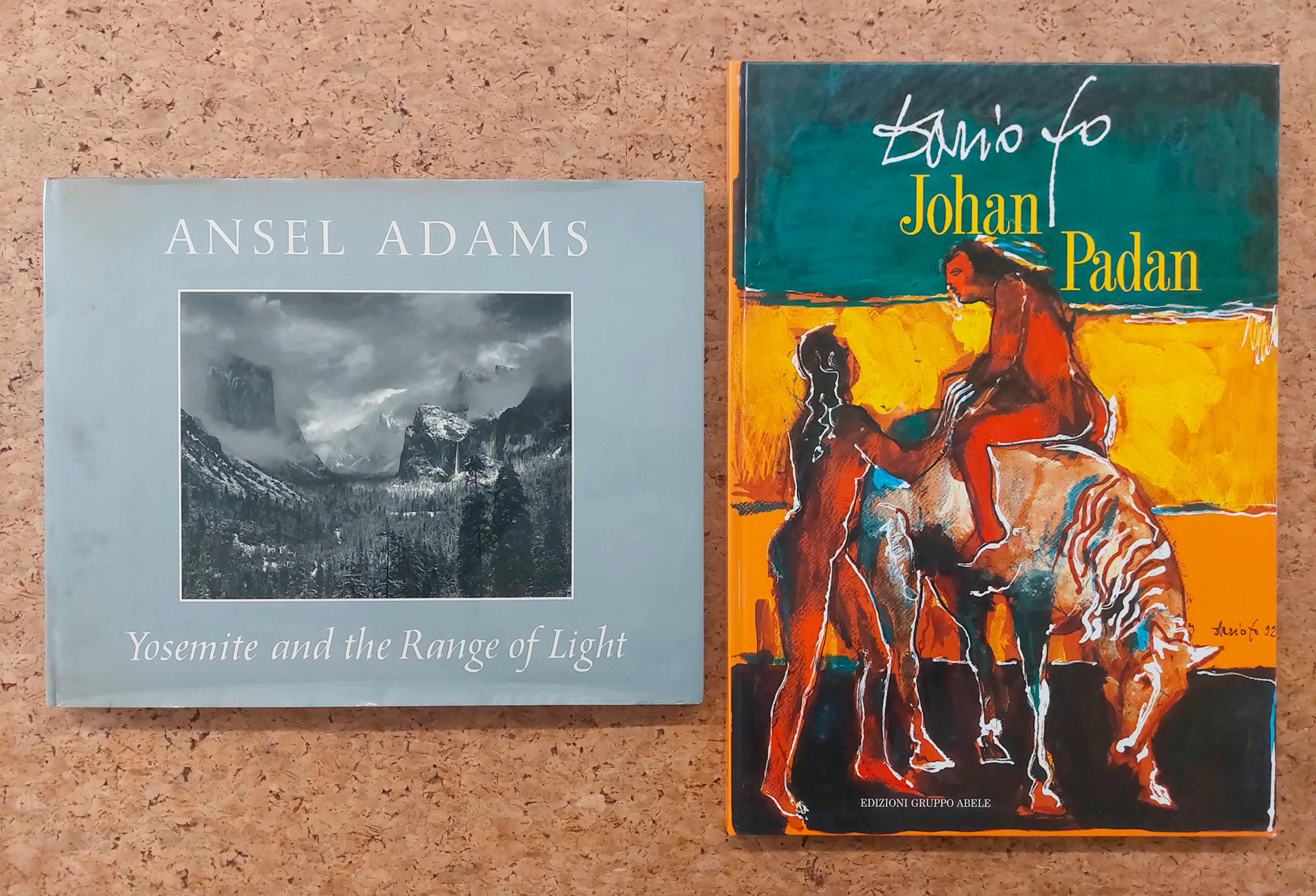 EDIZIONI ILLUSTRATE E DI FOTOGRAFIA (DARIO FO E ANSEL ADAMS) - Lotto