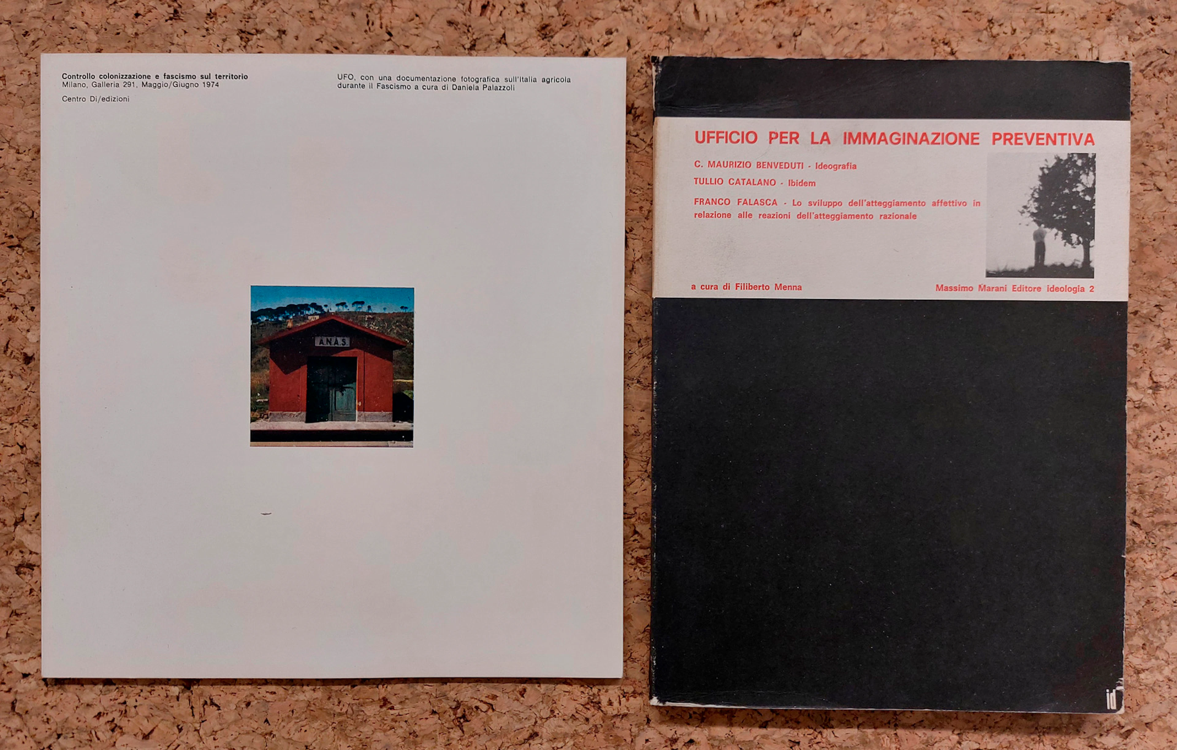 CATALOGHI RARI (ARTE CONCETTUALE) - Lotto unico di 2 rari cataloghi