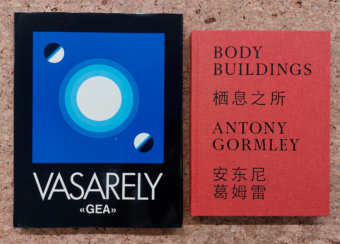VICTOR VASARELY E ANTONY GORMLEY - Lotto unico di 2 cataloghi