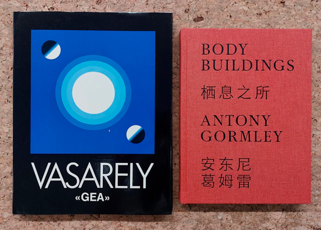 VICTOR VASARELY E ANTONY GORMLEY - Lotto unico di 2 cataloghi