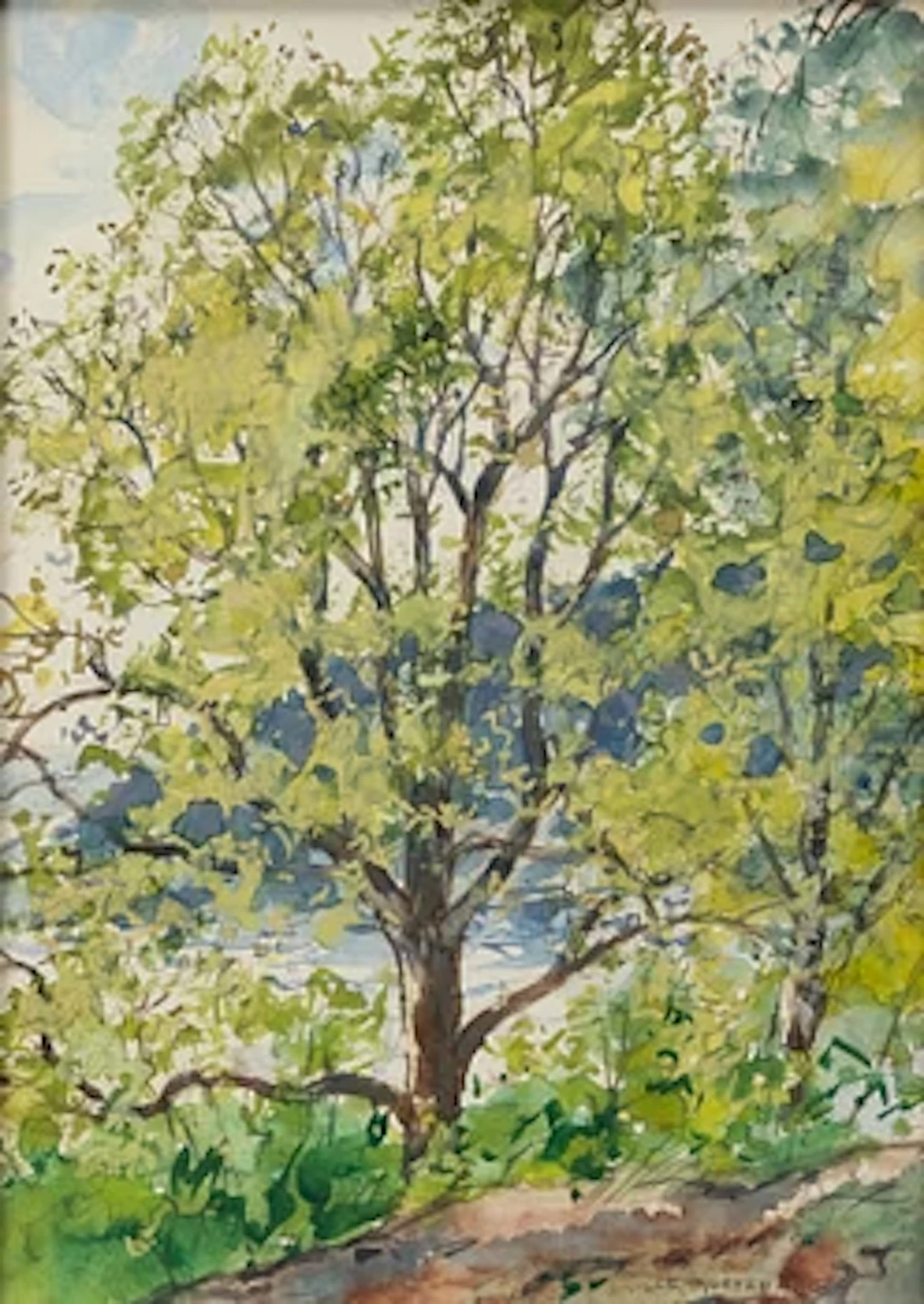 Olle Hjortzberg, Greenery.