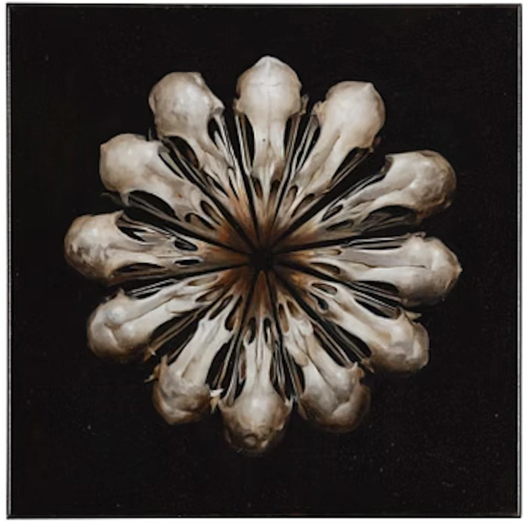 Markus Åkesson, "The Oracle Bones (Hen Wheel)".