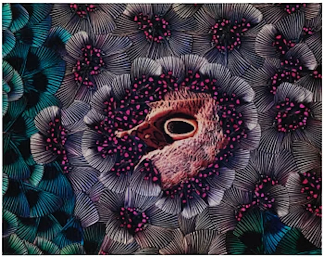 Nathalia Edenmont, "Ovary", 2015.