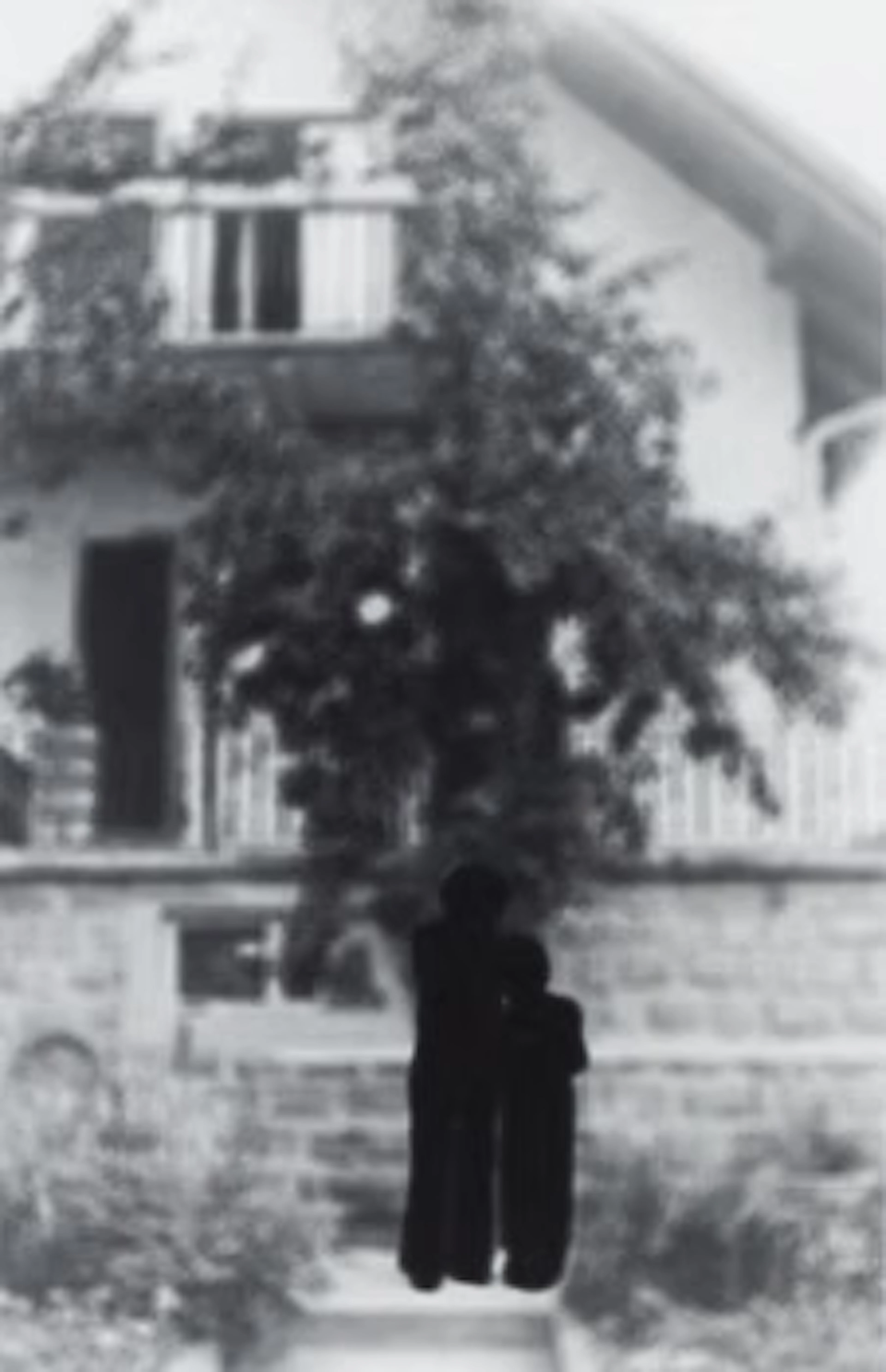 Maria Miesenberger, from the series “Sverige/Schweden”, book included.