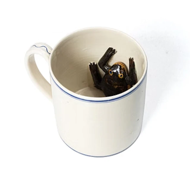 Rörstrand, Frog mug, 19th century.