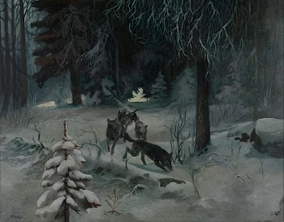 Reijo Meller, Wolves in the Forest.