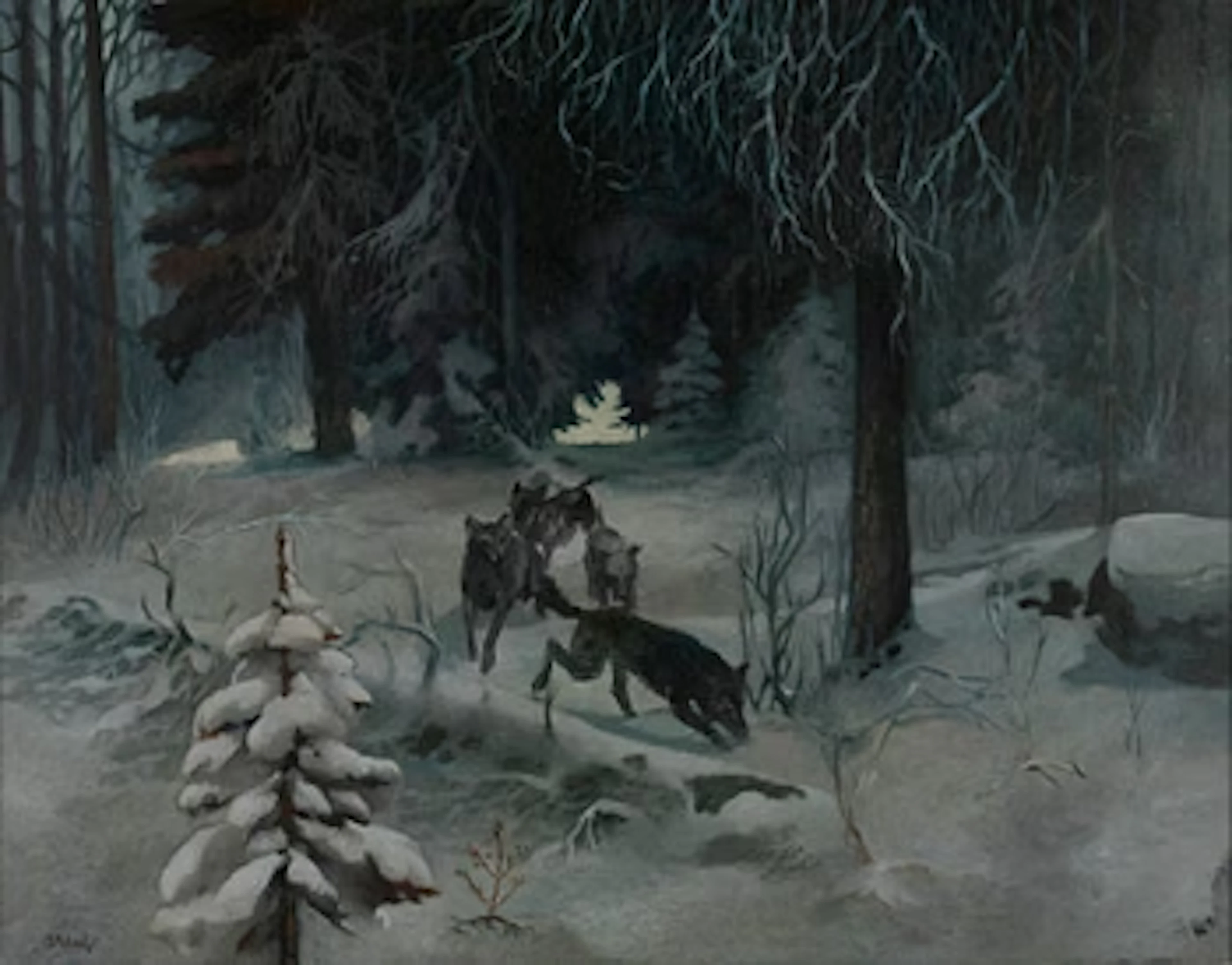 Reijo Meller, Wolves in the Forest.