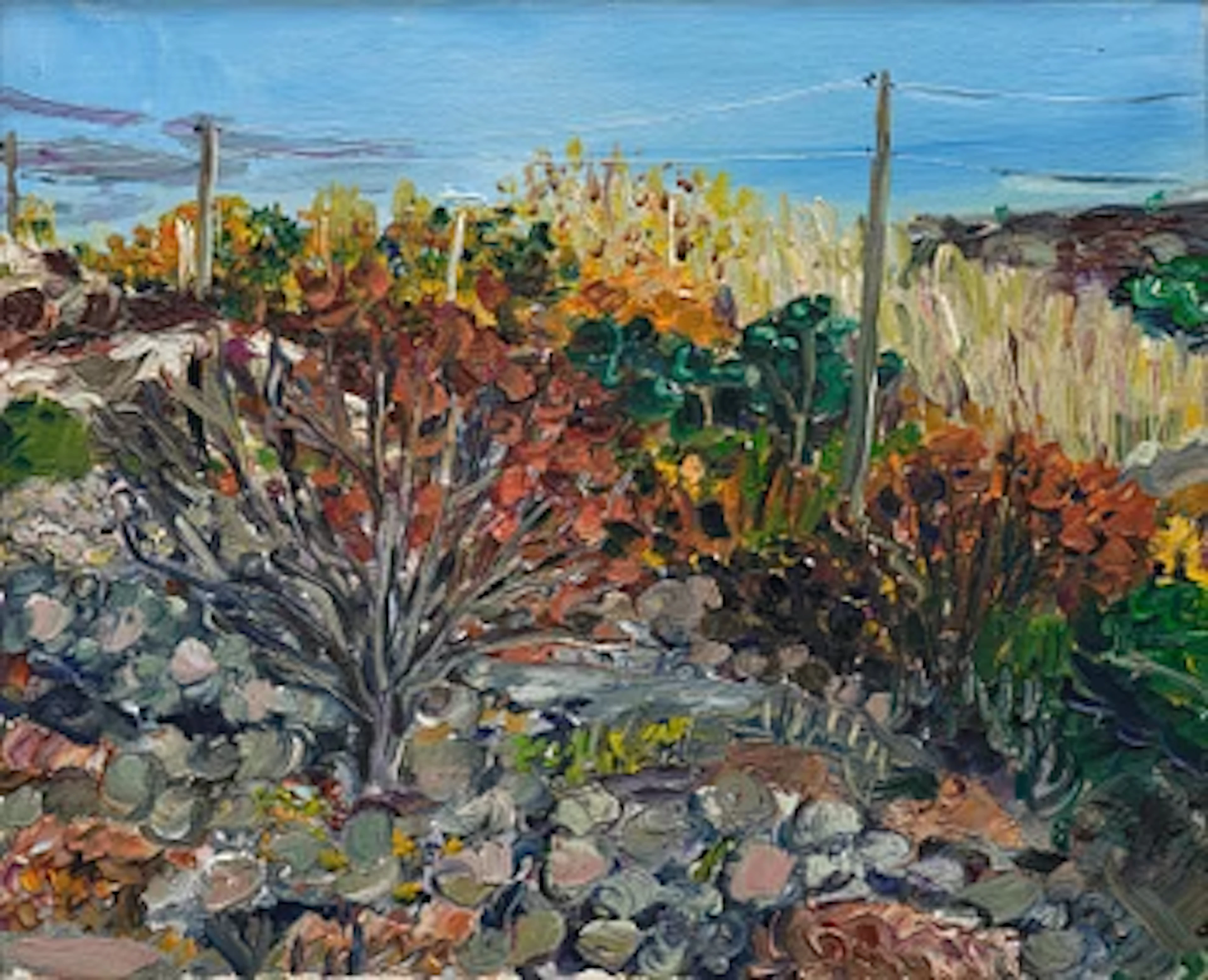Lena Cronqvist, Untitled.