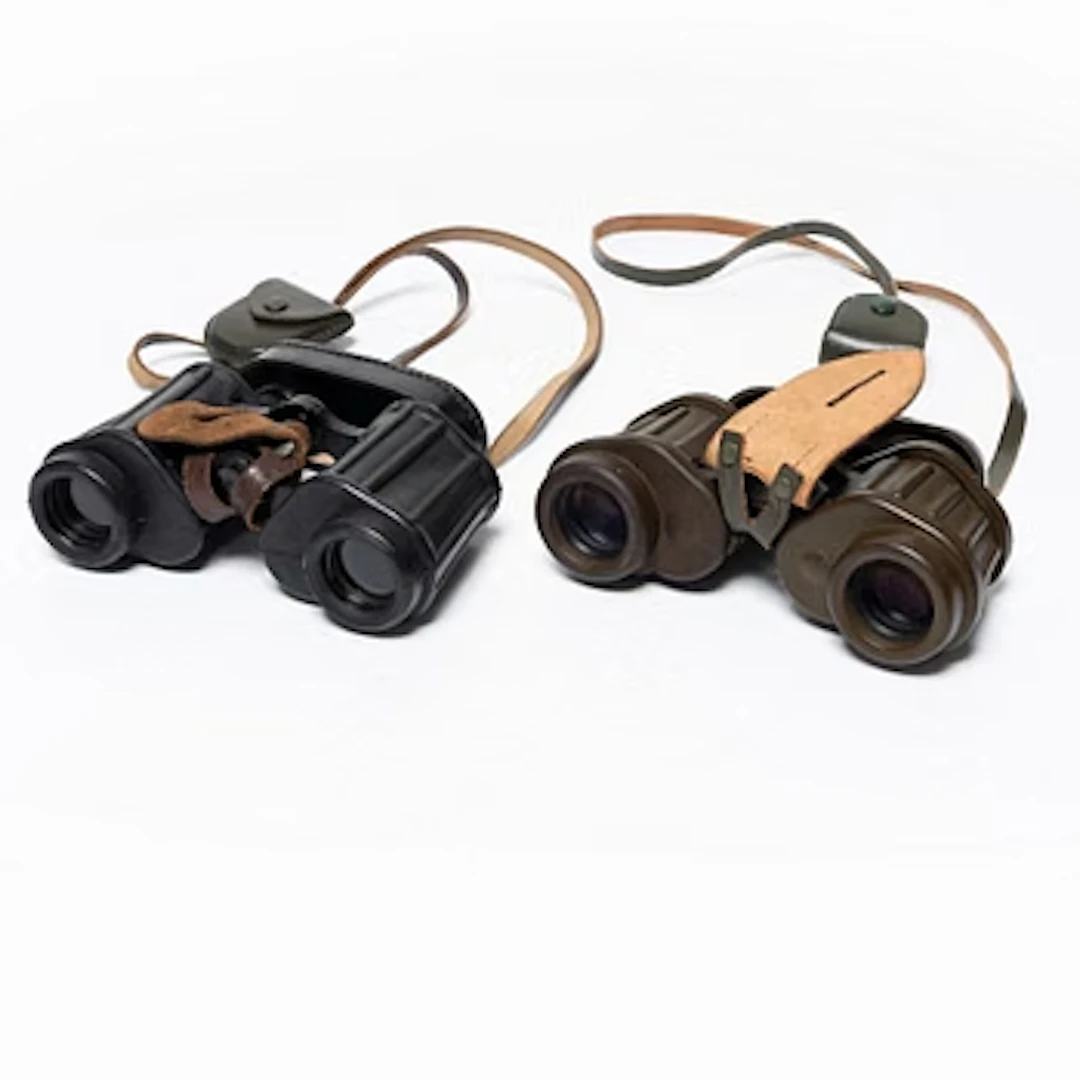 Two pairs of binoculars, Swedish Armed Forces, one marked Carl Zeiss