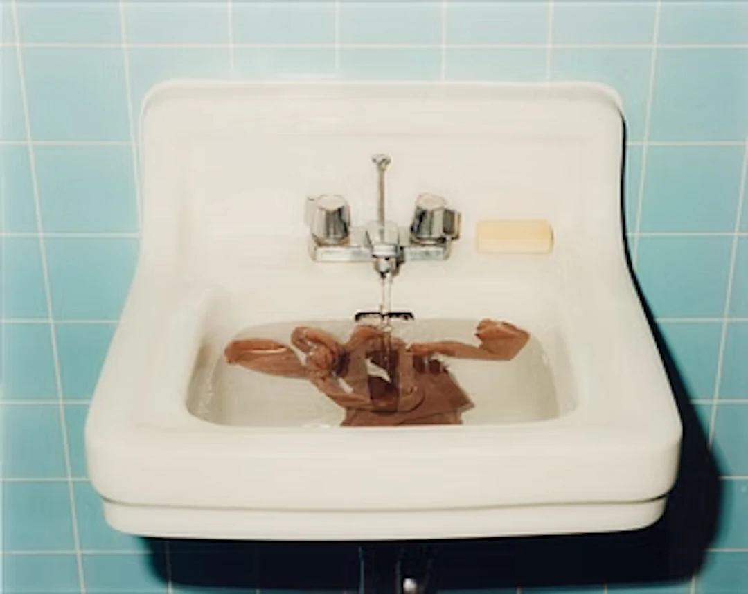 Annika Elisabeth von Hausswolff, "Allting hänger ihop ha, ha, ha", 1999.