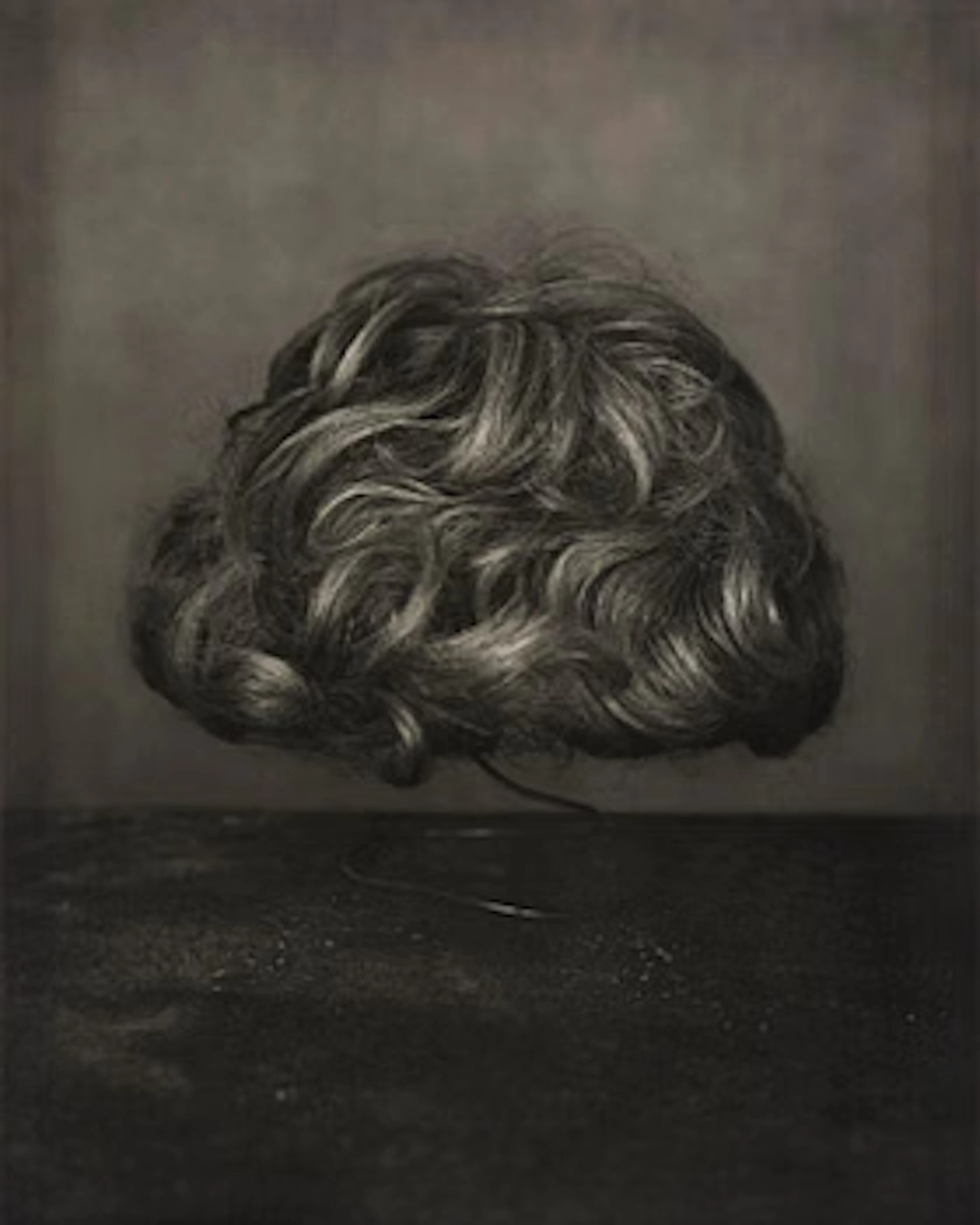 Denise Grünstein, “Wig”, 2011.