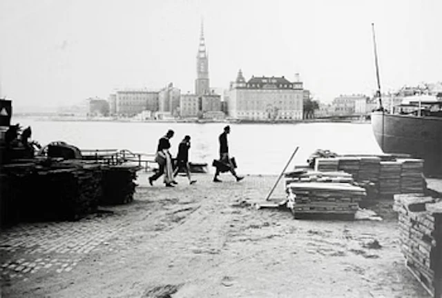 Carl Johan De Geer, "Frasse, Hilding och Janos 1972".