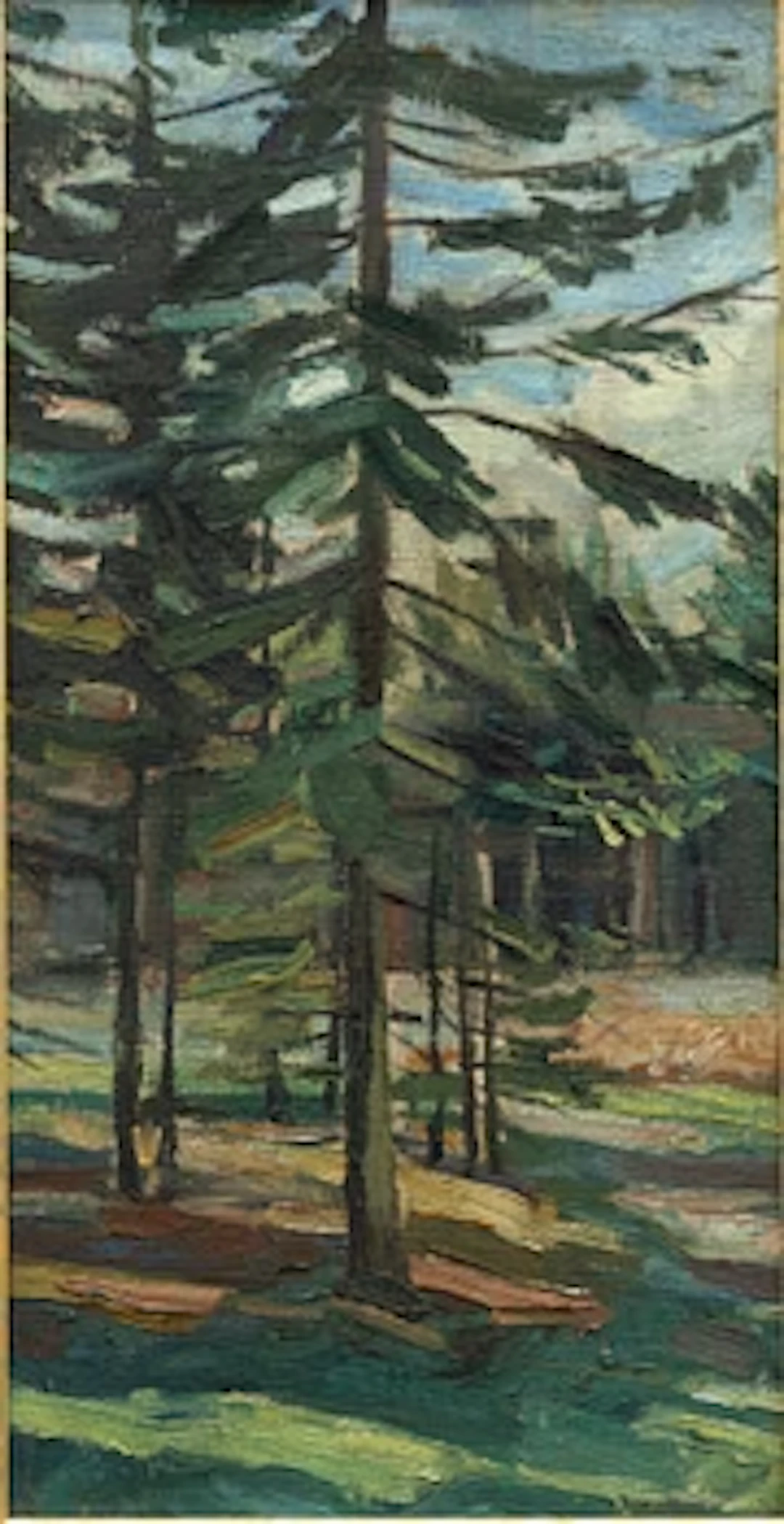 Peet Aren, Forest.