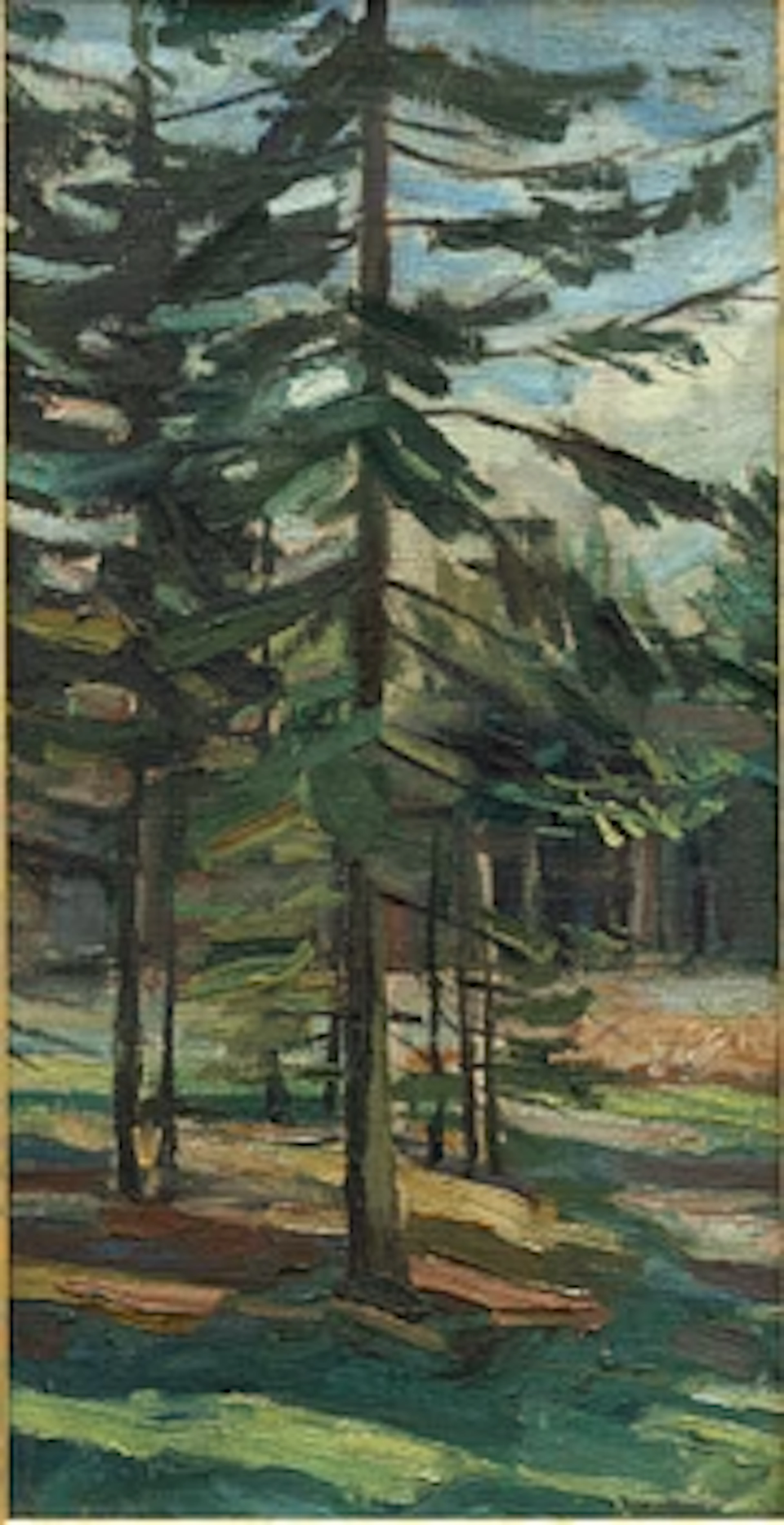 Peet Aren, Forest.