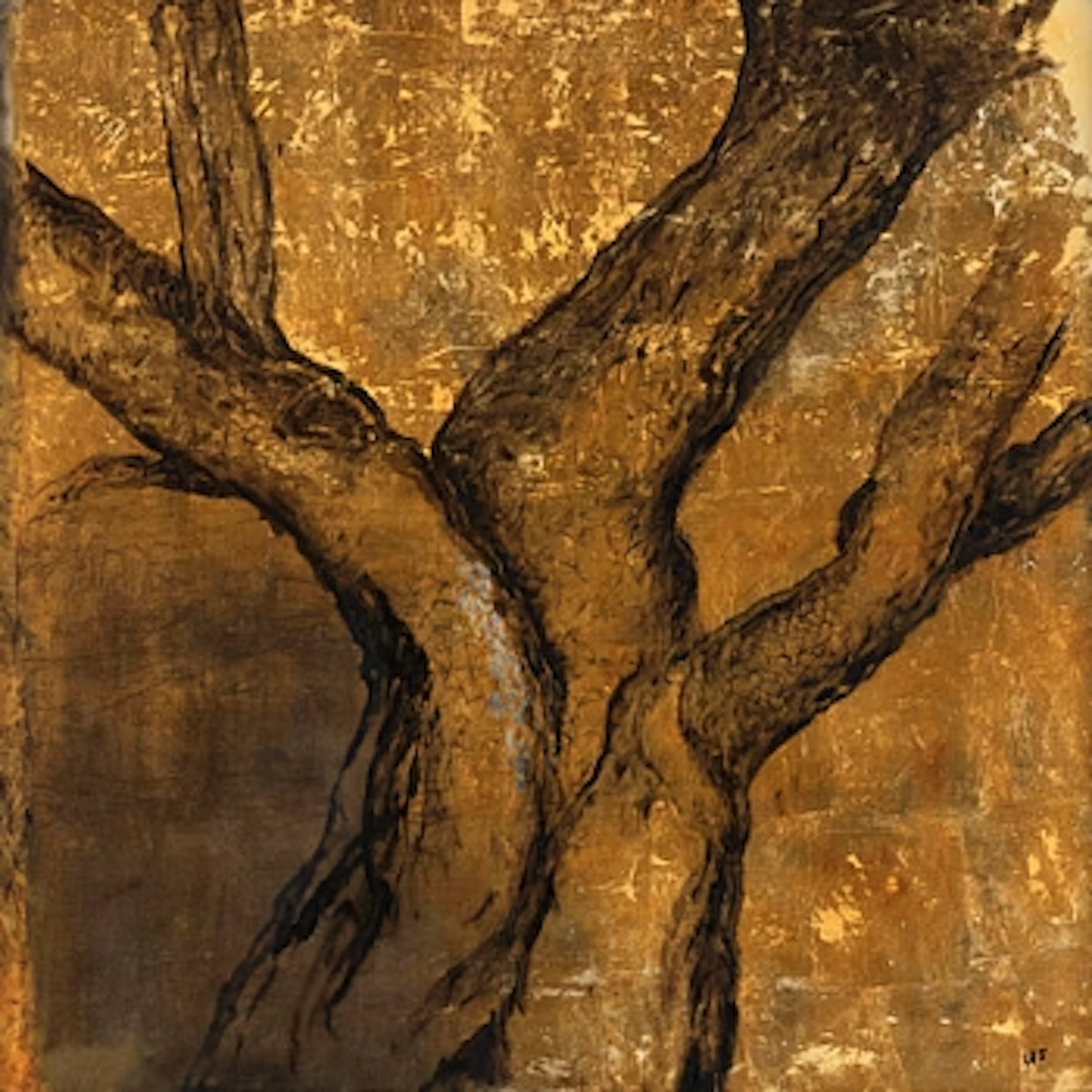 Ulrik Samuelson, "Vårdträdet".