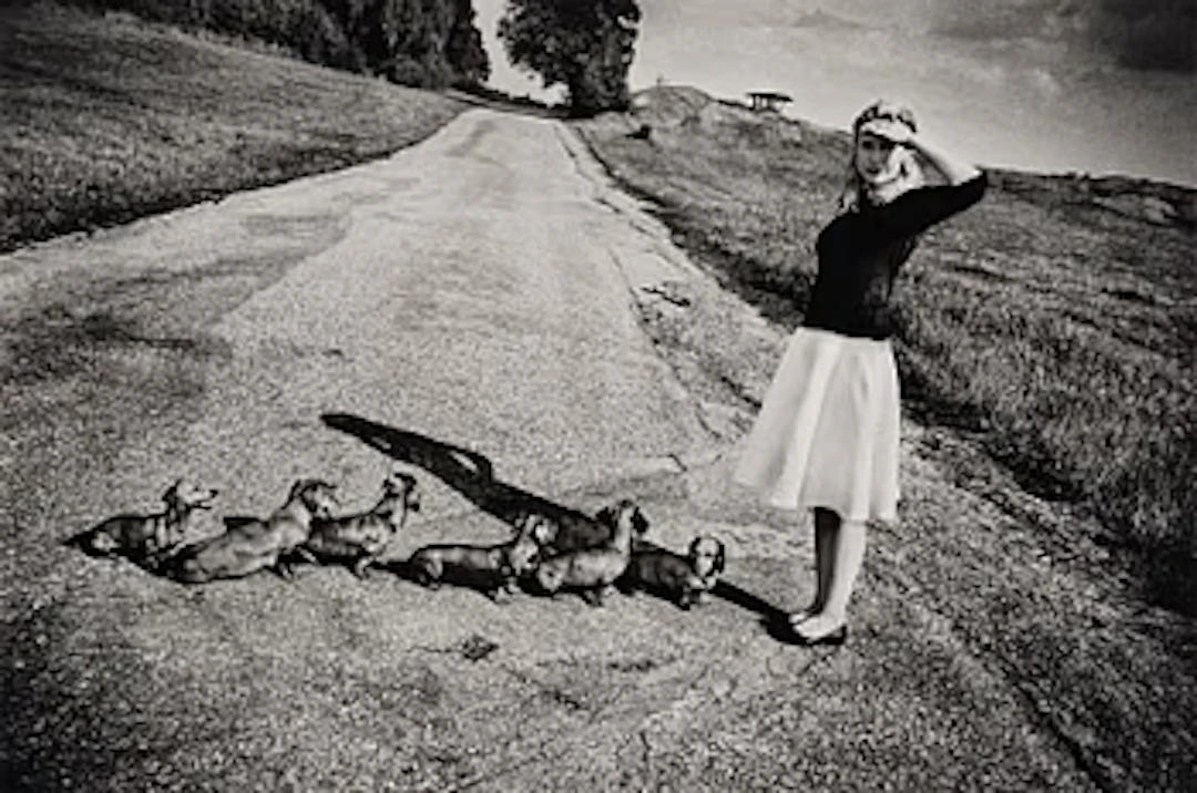 Anders Petersen, "Gärdet", 2016.