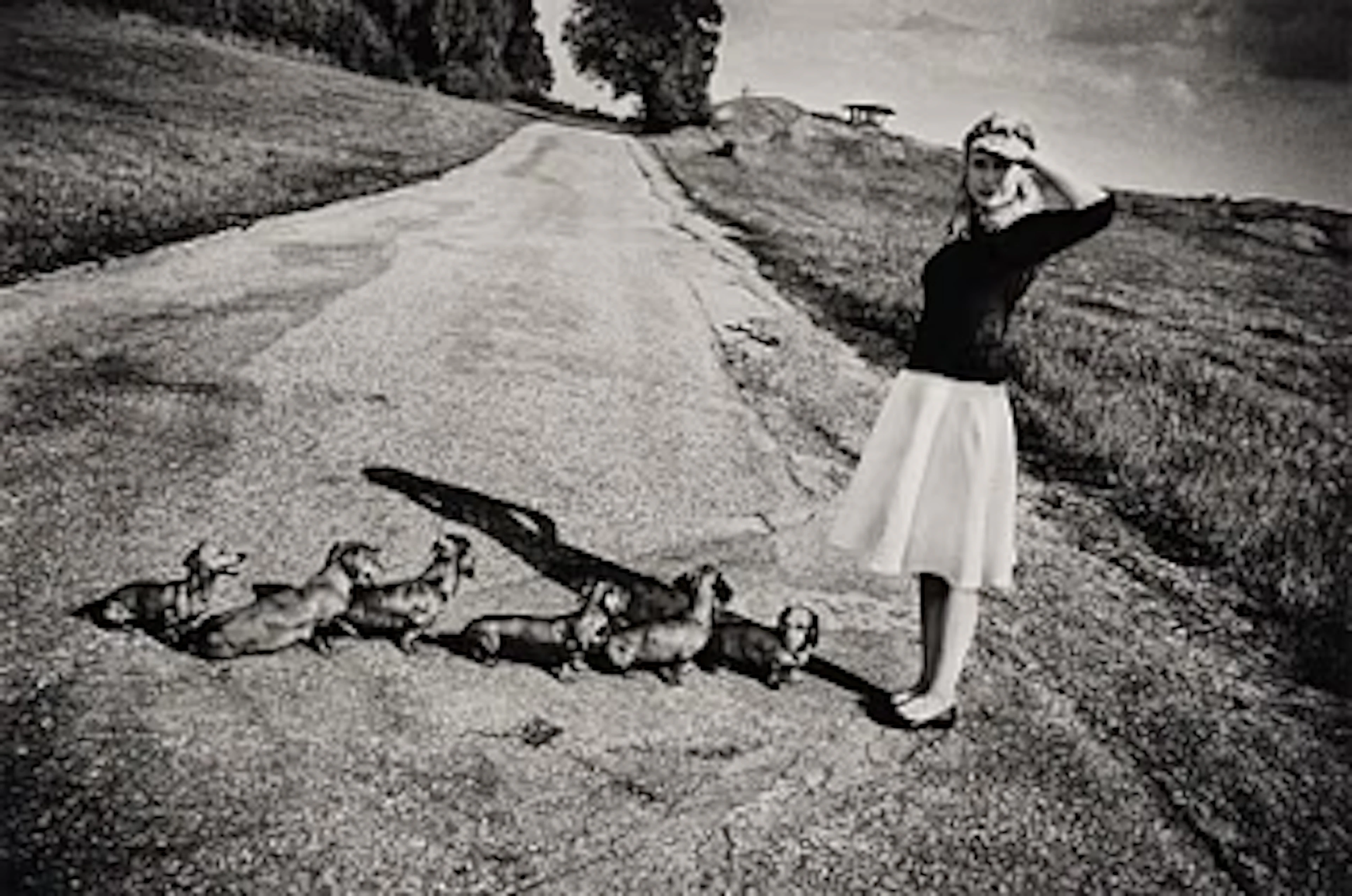 Anders Petersen, "Gärdet", 2016.