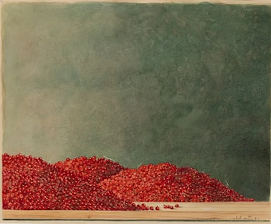 Philip von Schantz, Redcurrants.