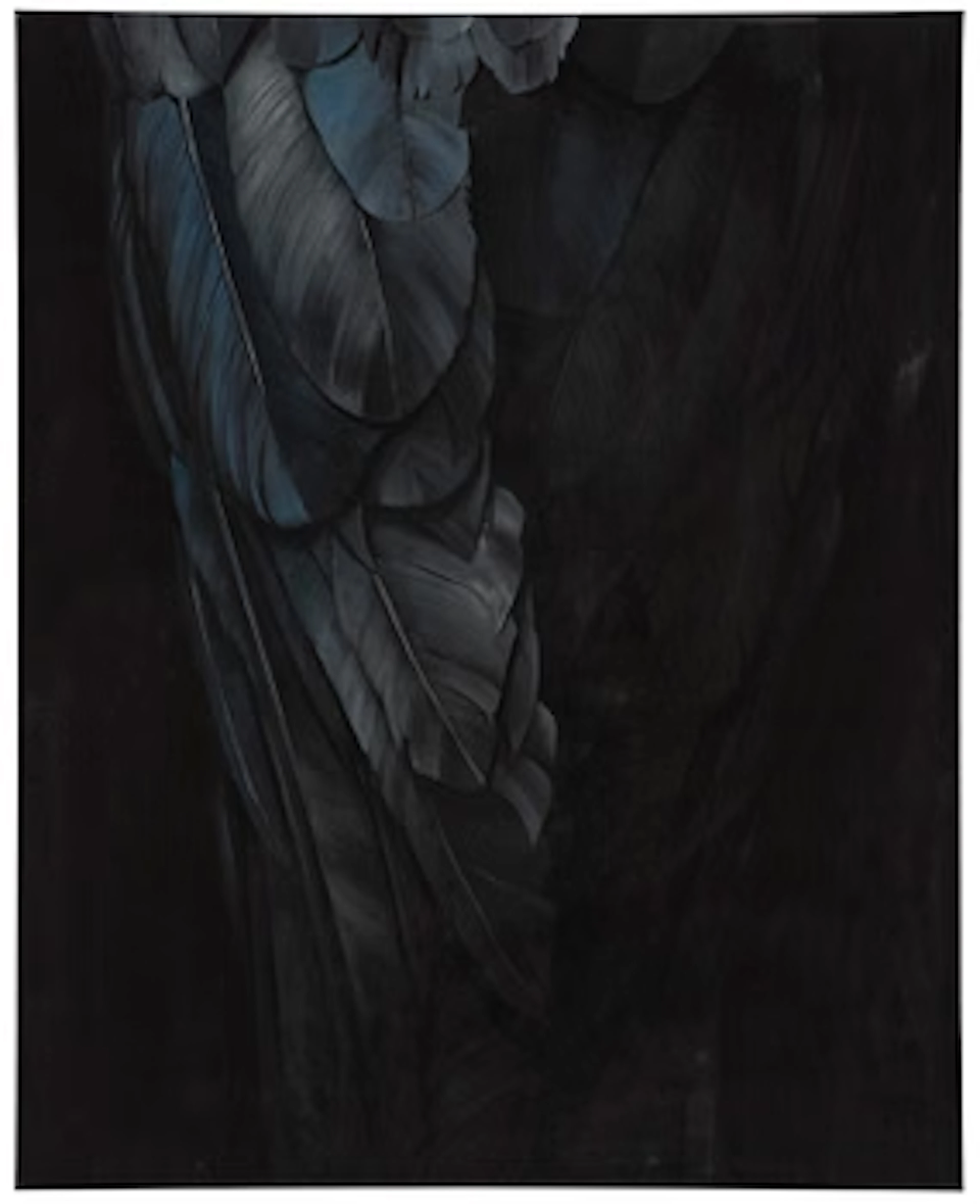 Markus Åkesson, "Ornithomancy".