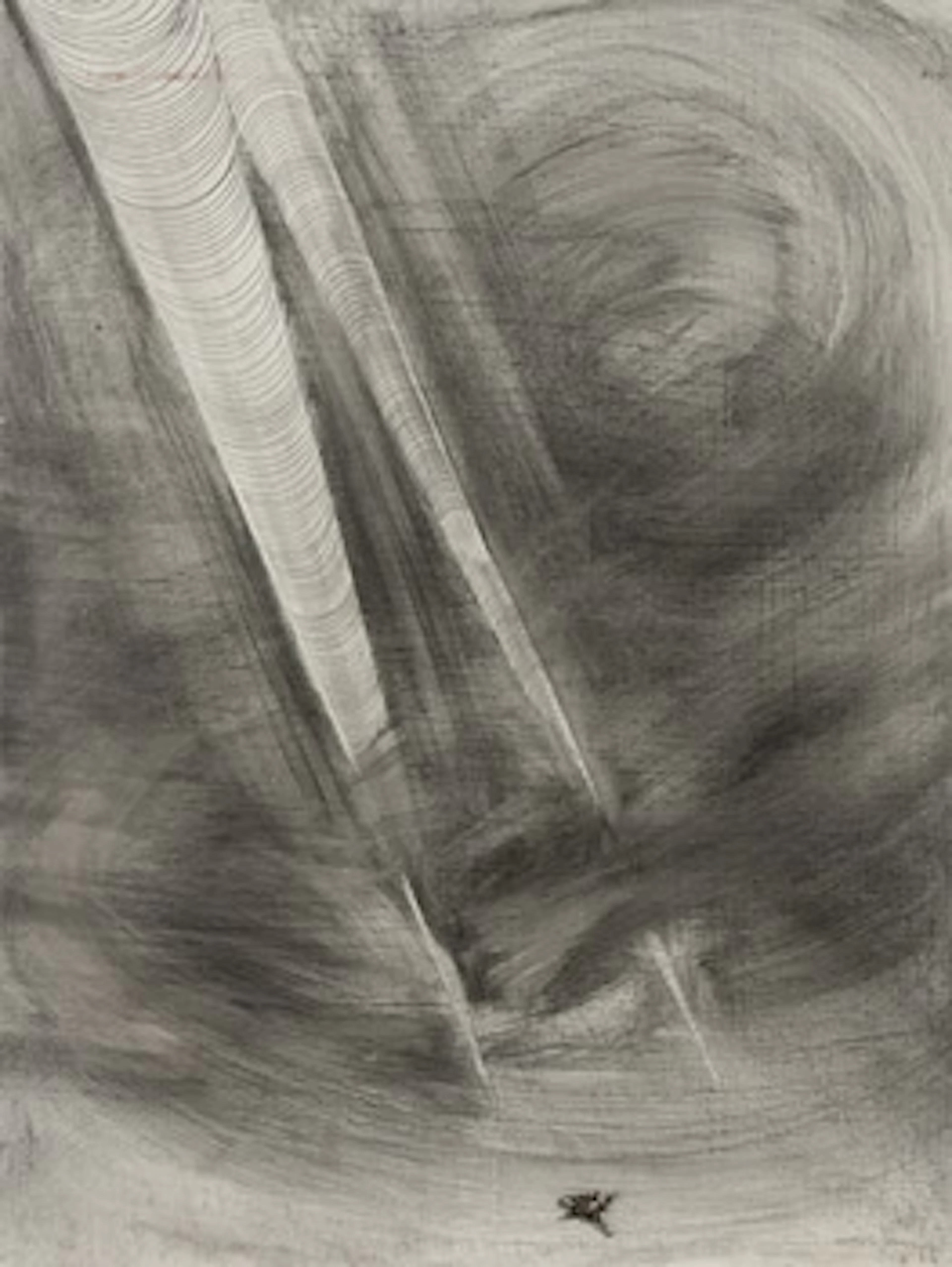 Werner Janson, From the series “Problemet jorden".