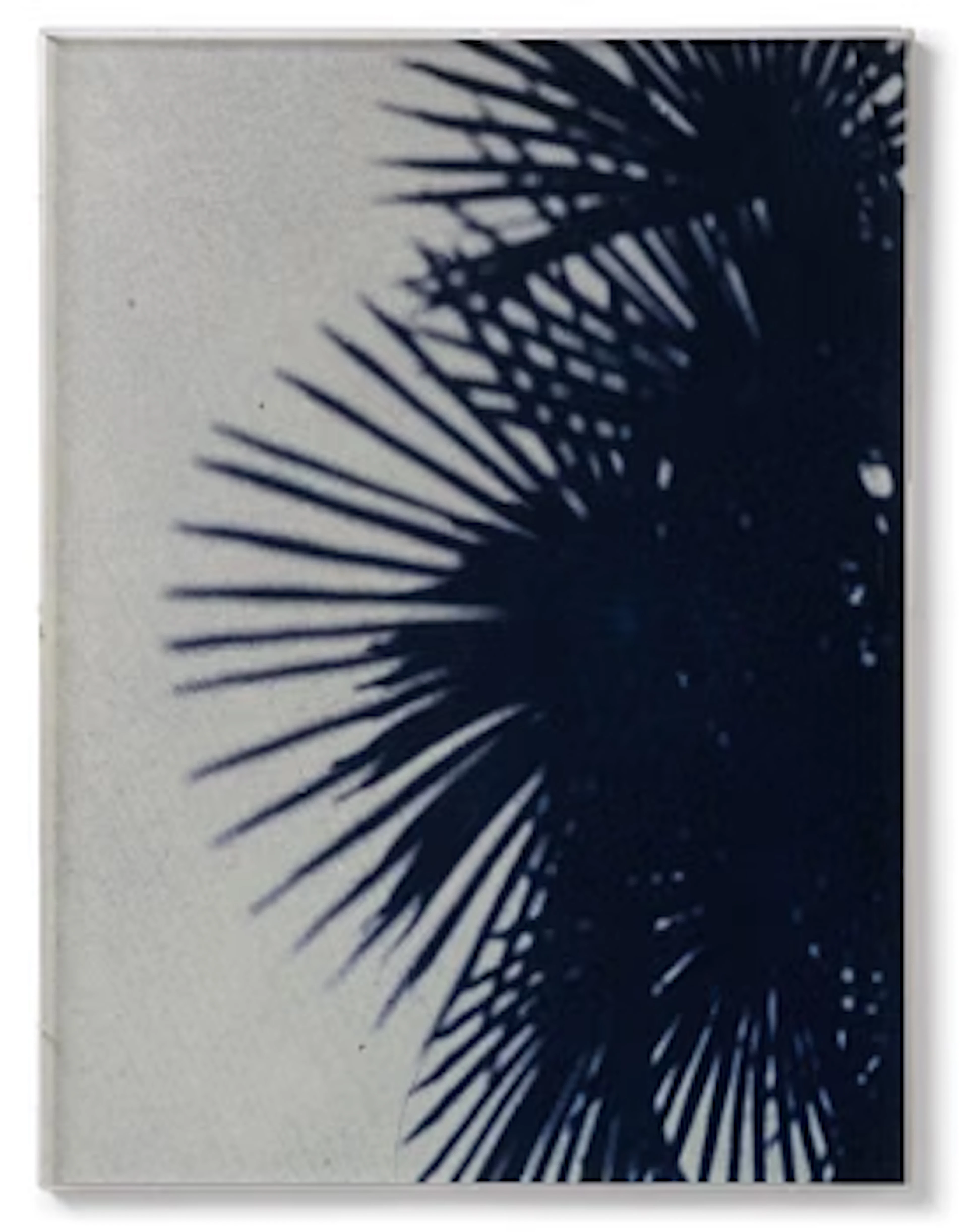 Jack Pierson, "Oh Hollywood", 1998.