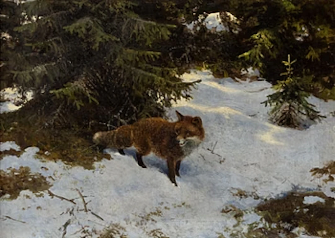 Thure Wallner, Fox in a Late Winter Landscape.