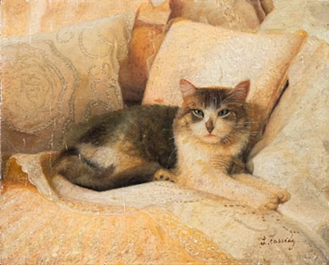 Laura E. Cassidy, Cat.