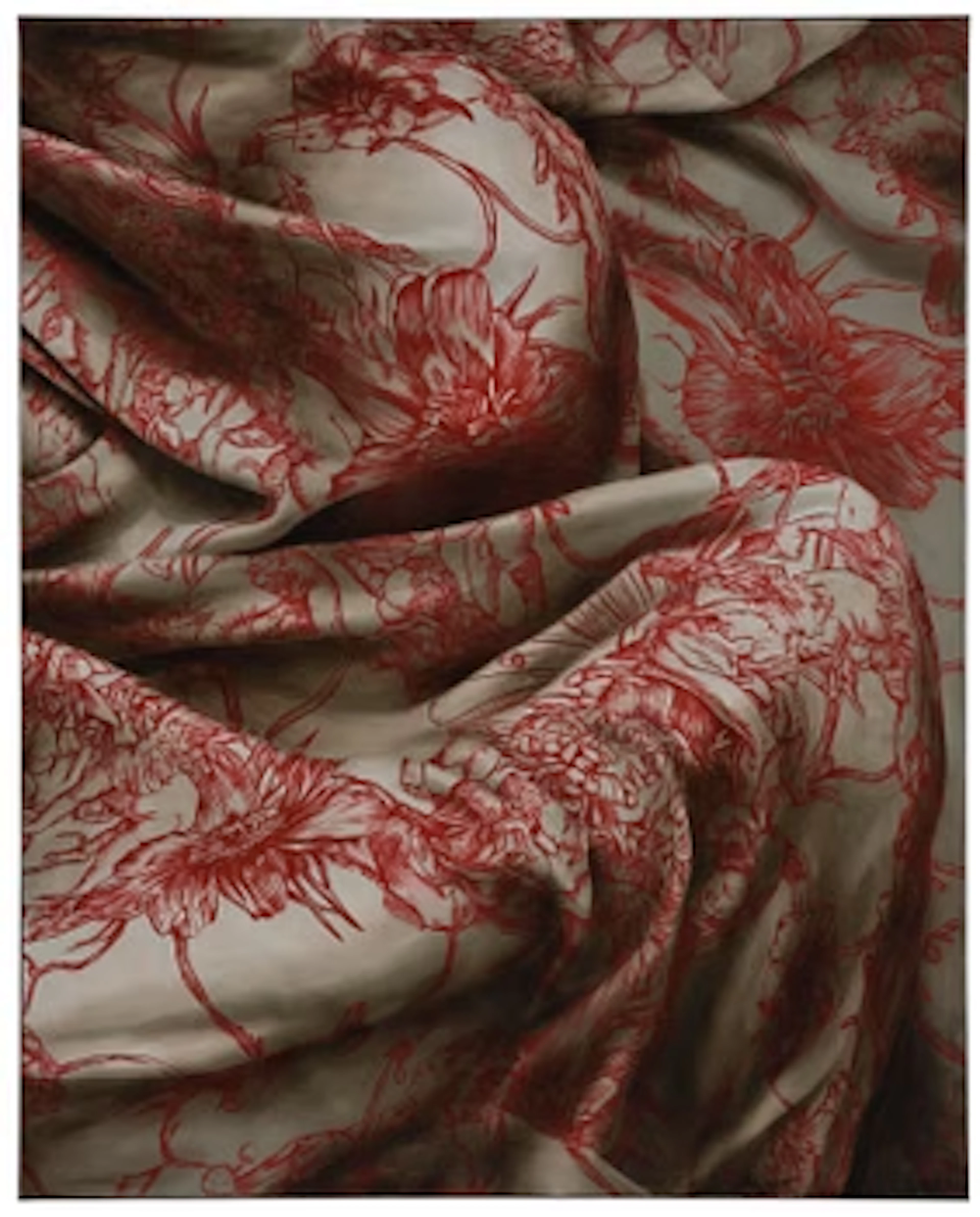 Markus Åkesson, "Witch Riding Backwards (Rouge Senois)".