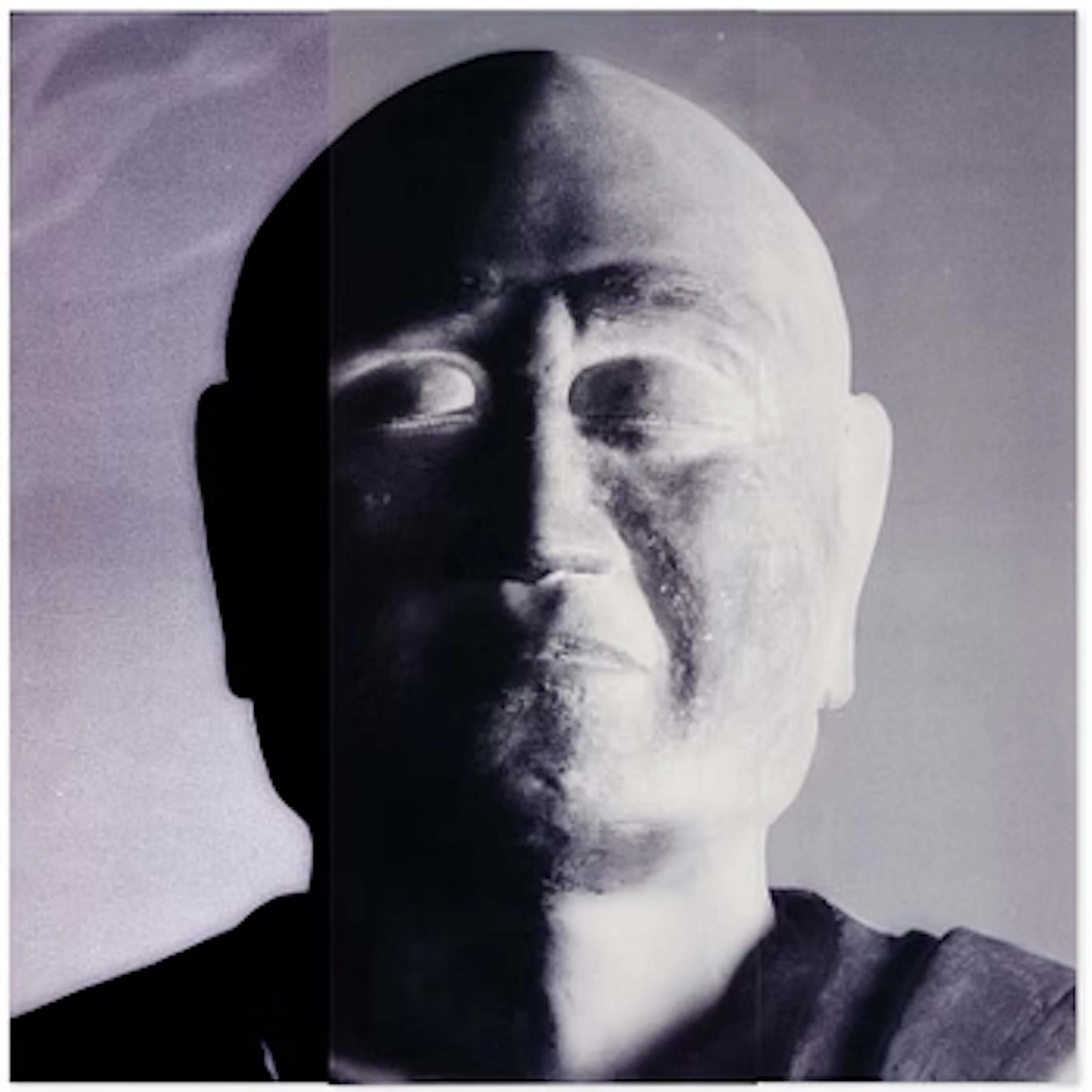 Mike & Doug Starn (Starn Twins), "Ganjin Head Lambda (positive)", 2000–2004.