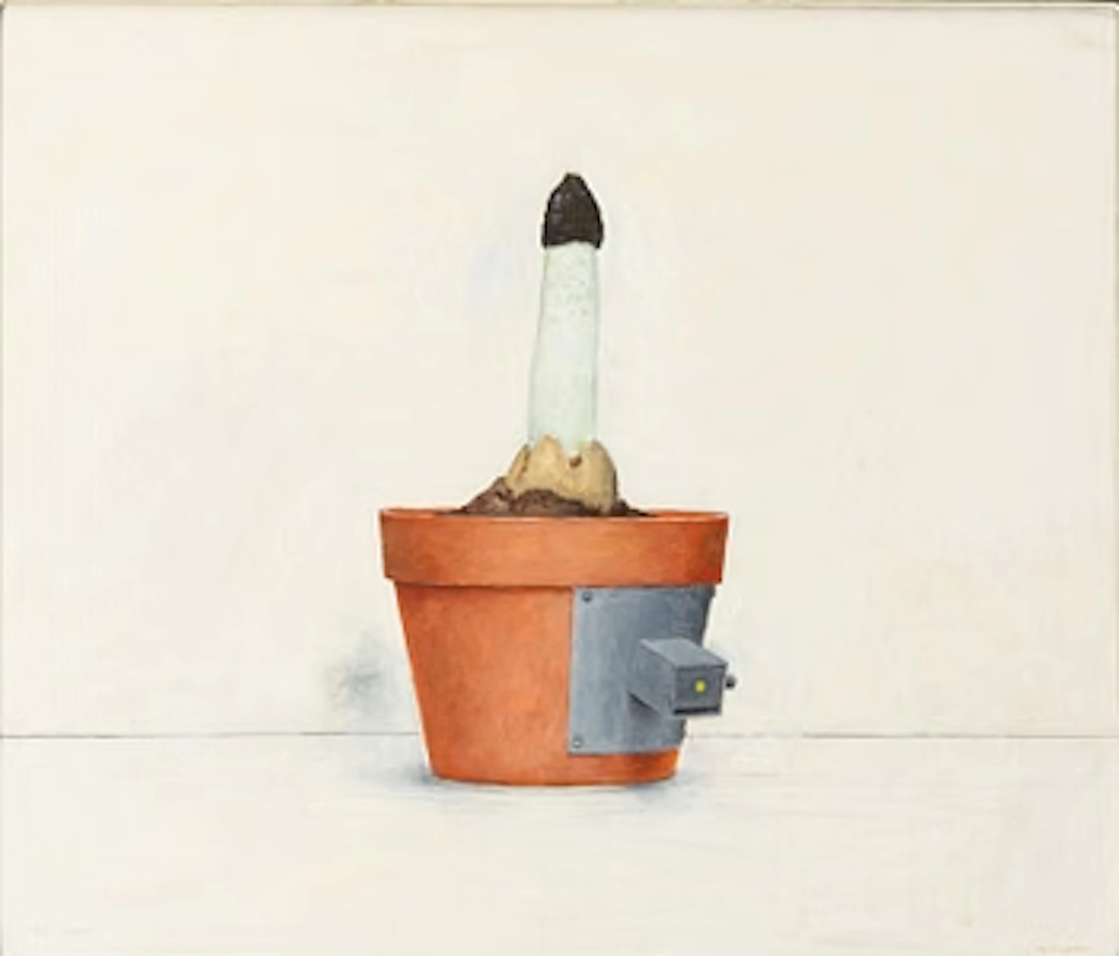 PG Thelander, "Phallus Impudicus".