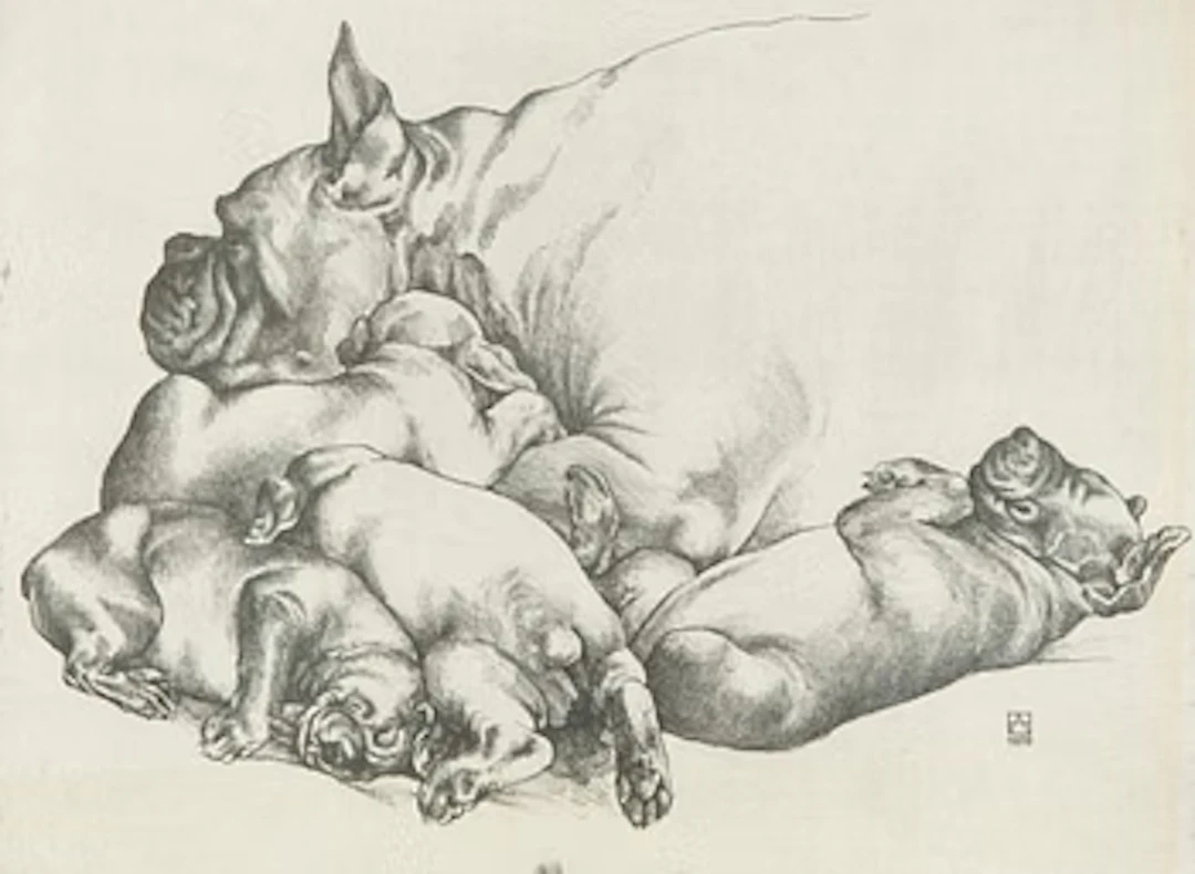 Henno Arrak, "Pesakond" (Litter).