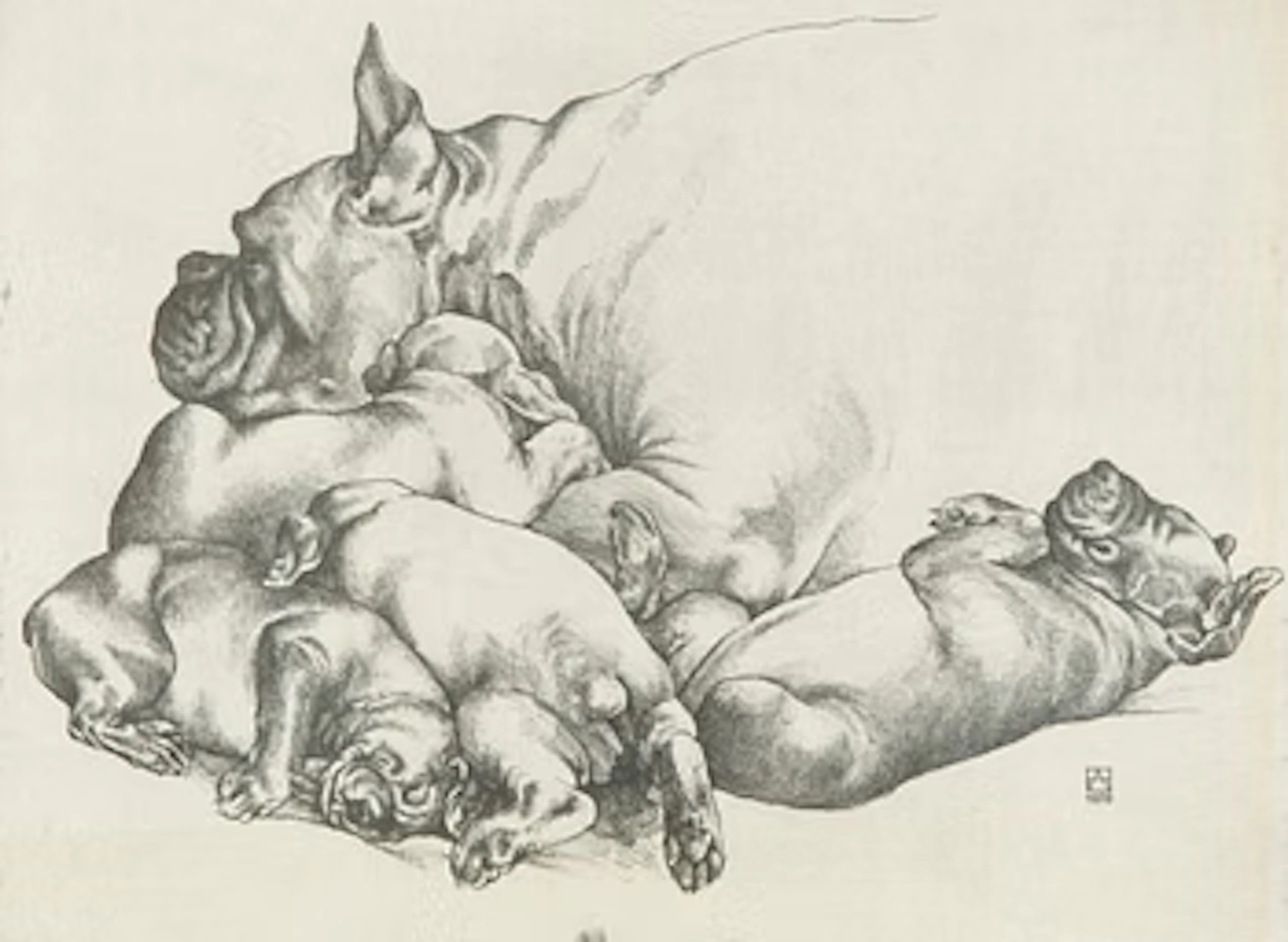 Henno Arrak, "Pesakond" (Litter).