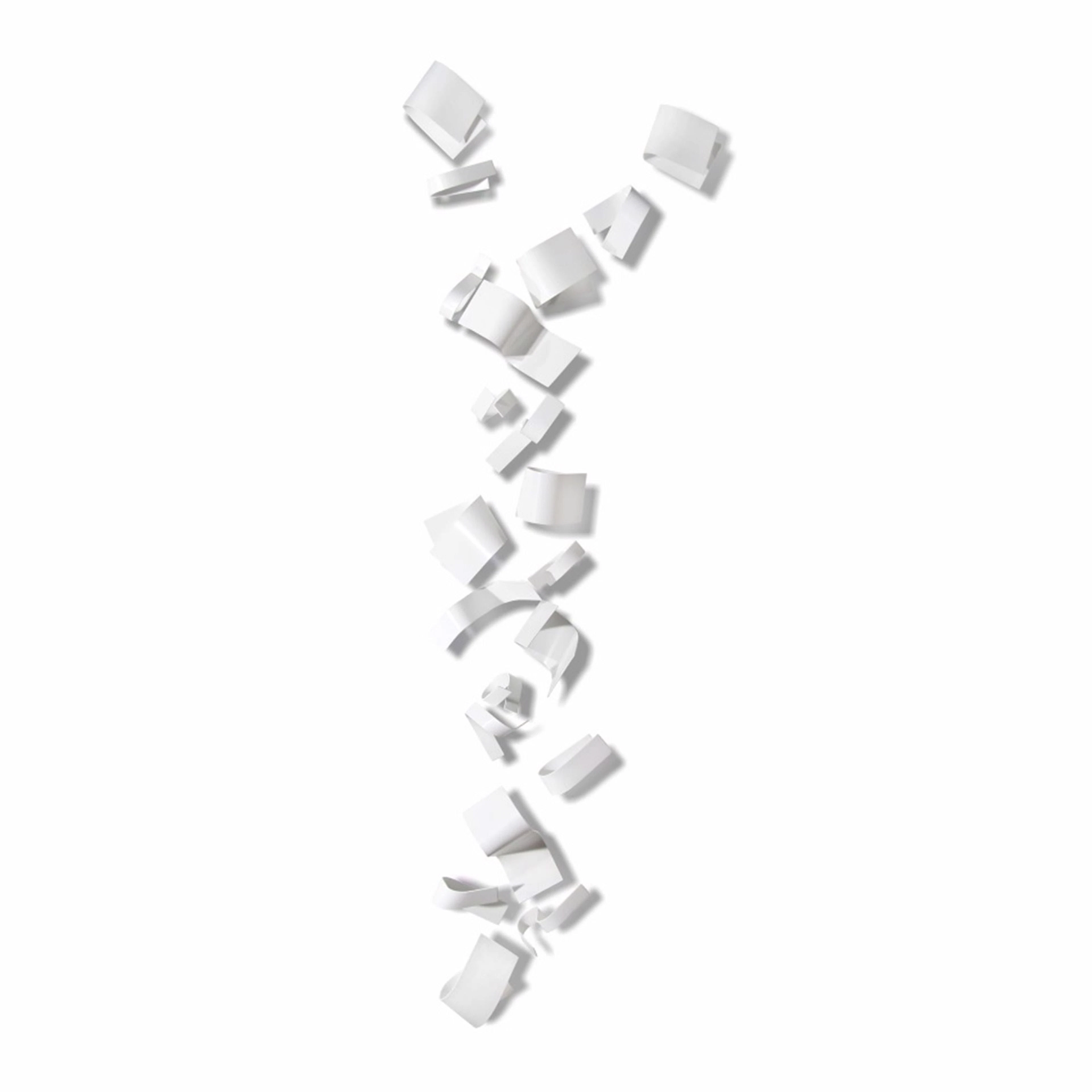 Snow Flakes - Zammy Migdal