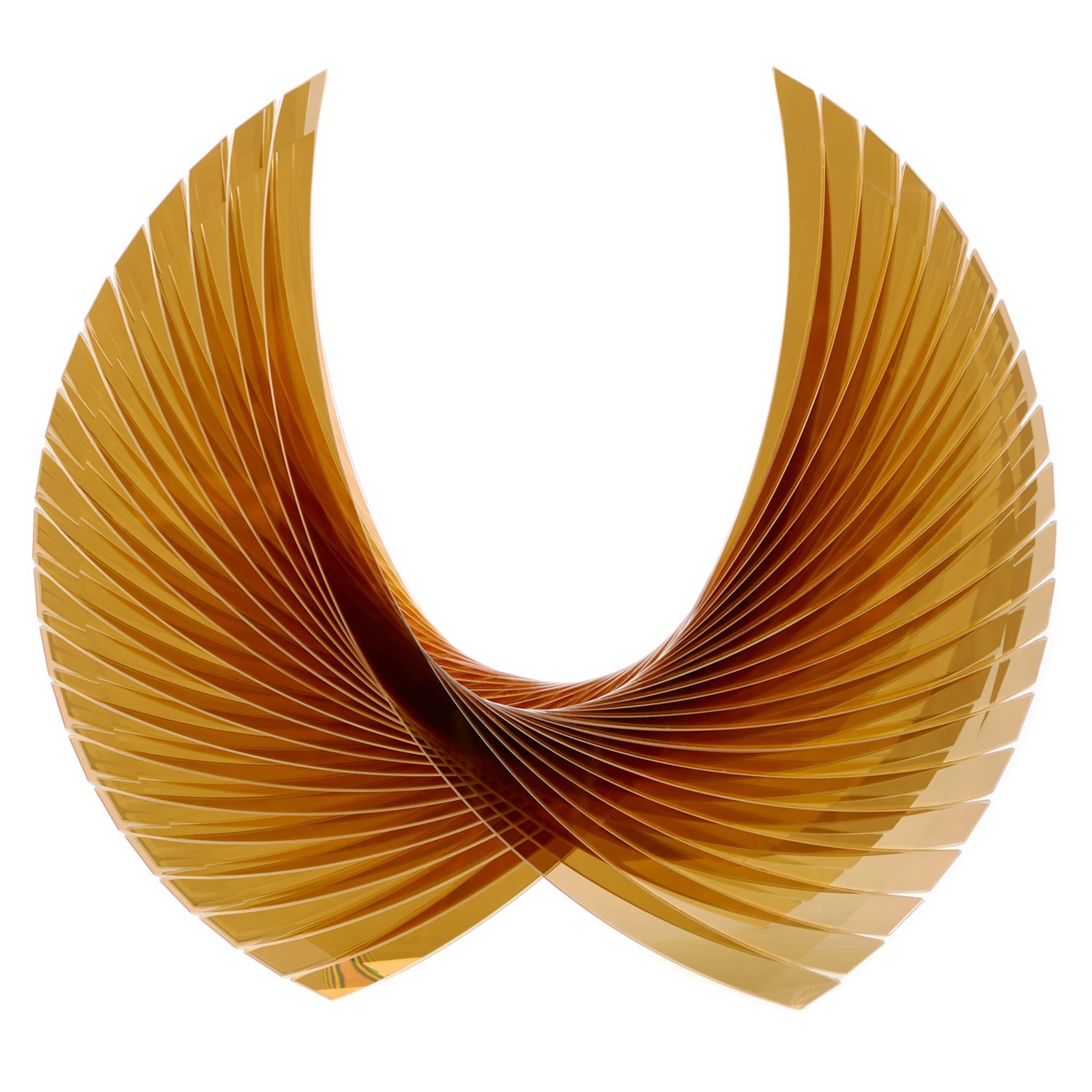 Gold Amber Wings - Tom Marosz