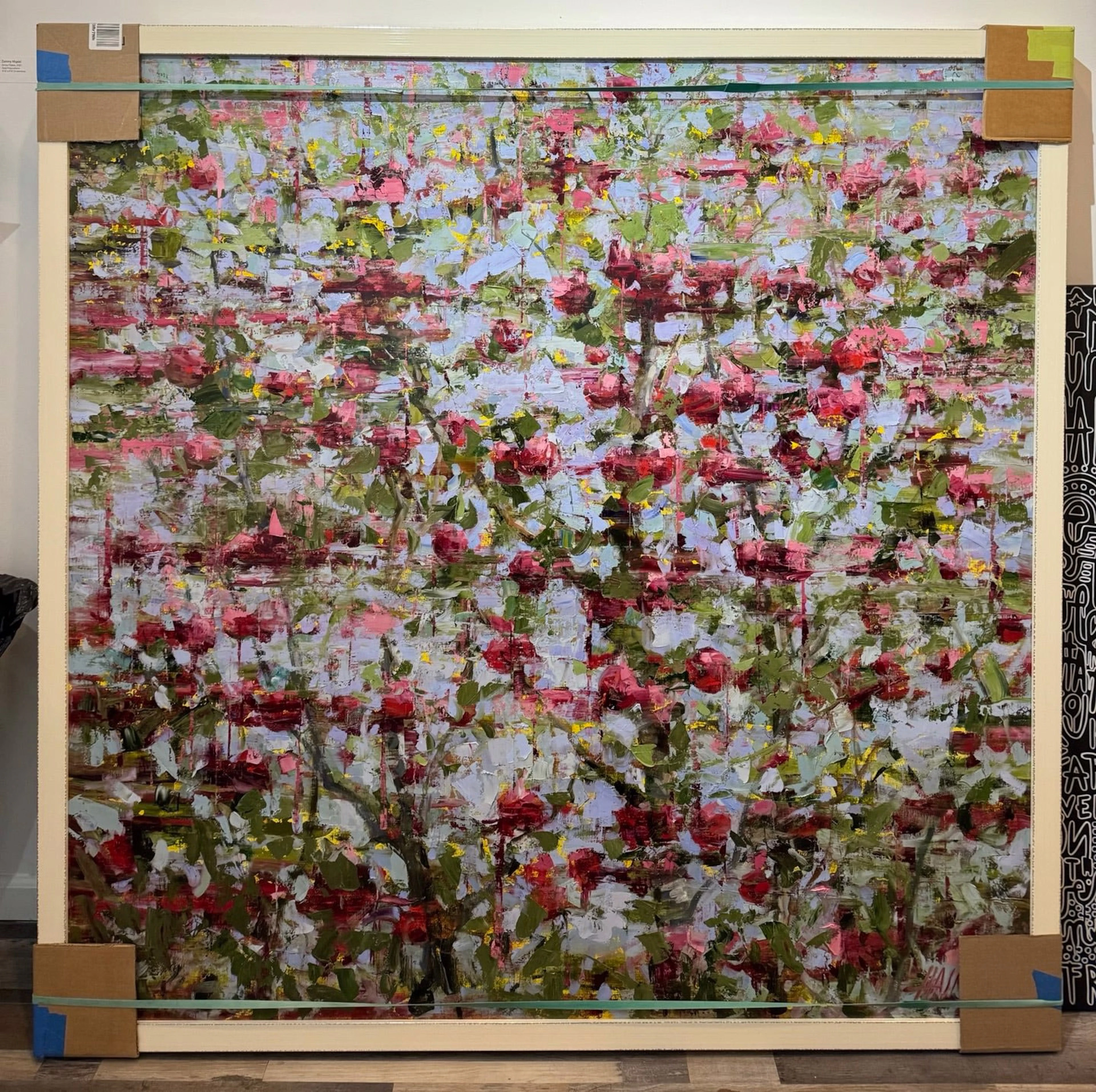 Apples Flowering - Ali Hasmut