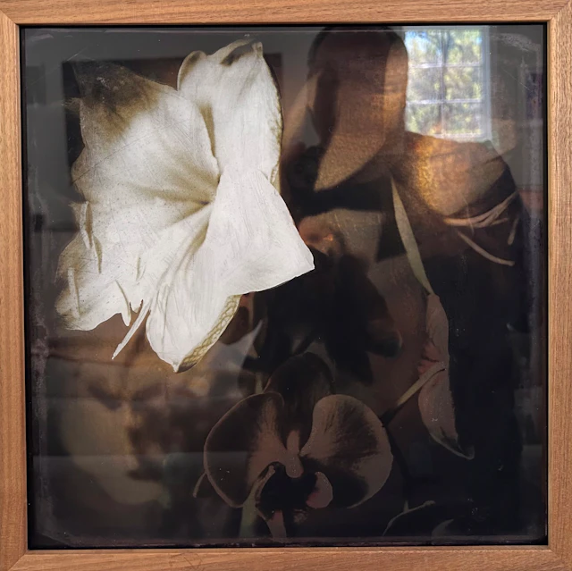 Flower - Casper Faassen