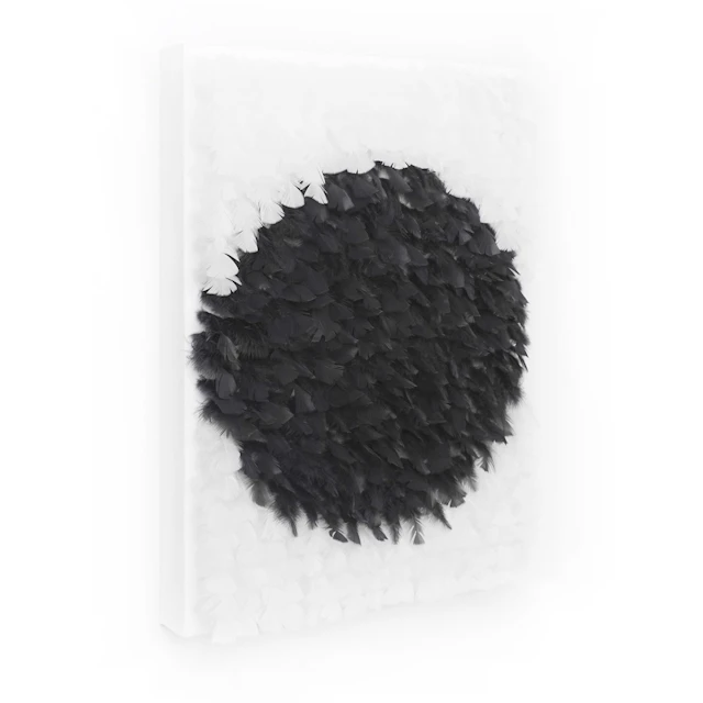 Circle of Life - Mattia Novello